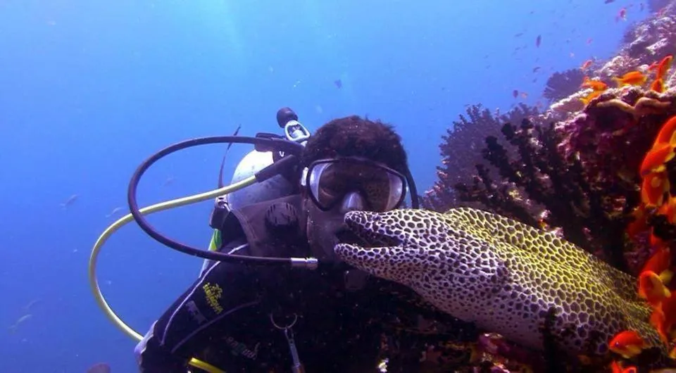 Staff in Charming Holiday Lodge