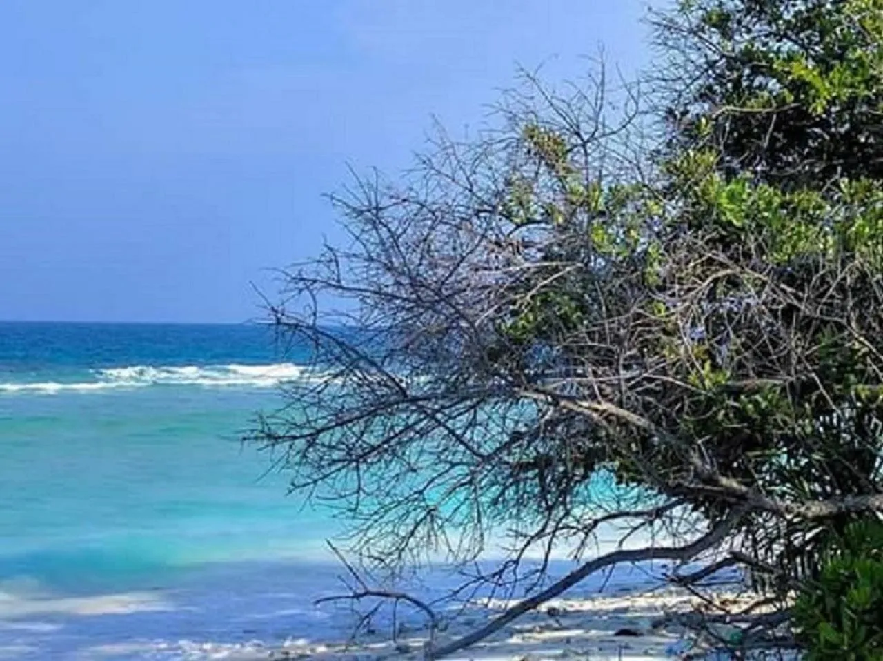 Beach in Charming Holiday Lodge