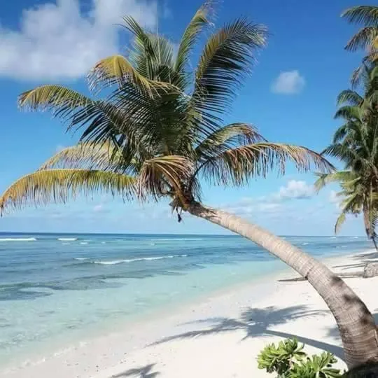 Beach in Charming Holiday Lodge