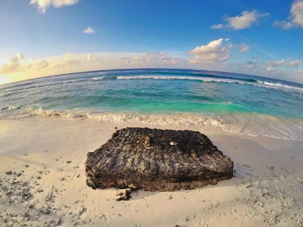 Beach in Charming Holiday Lodge