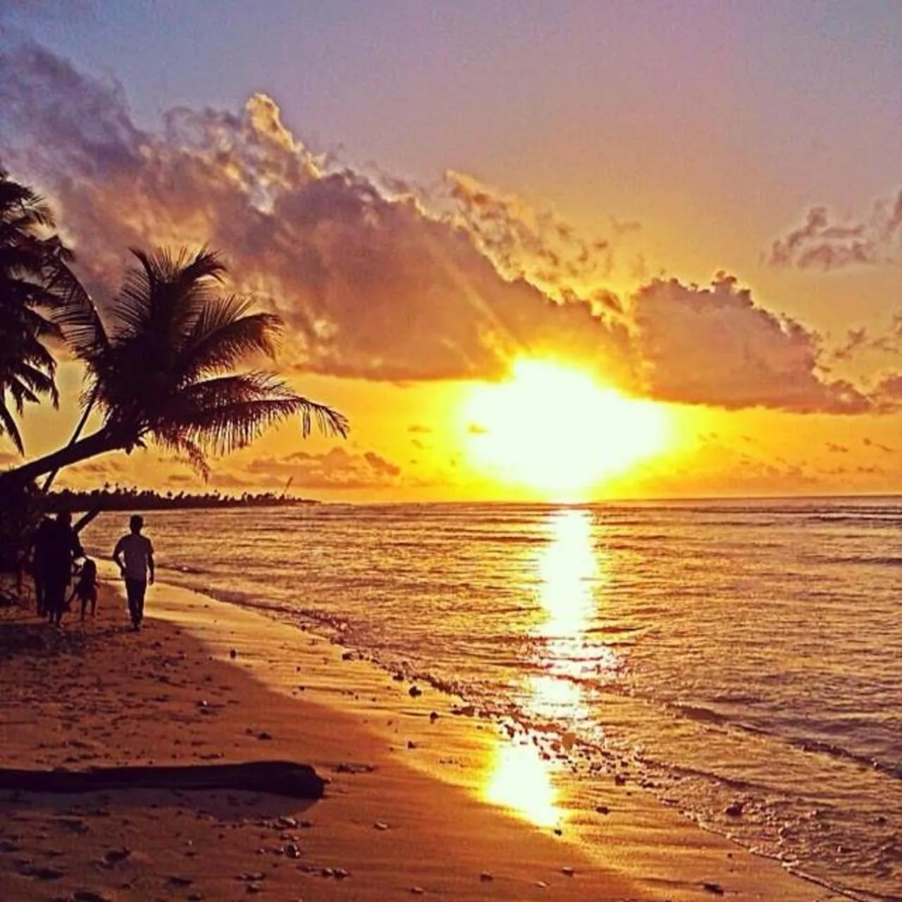 Sunset in Charming Holiday Lodge