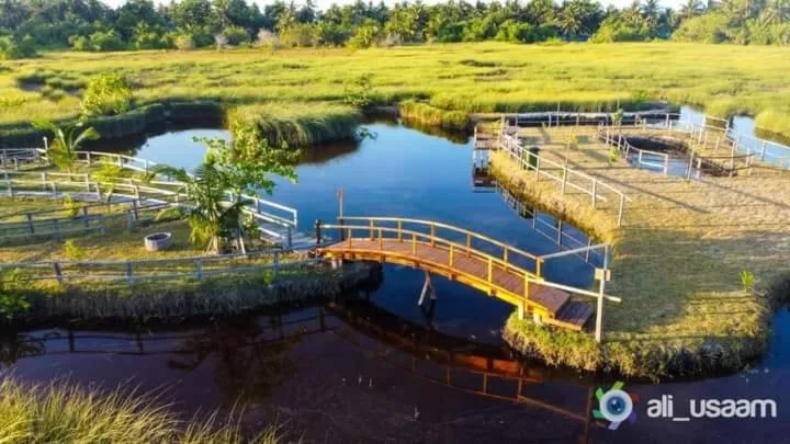 Natural landscape in Charming Holiday Lodge