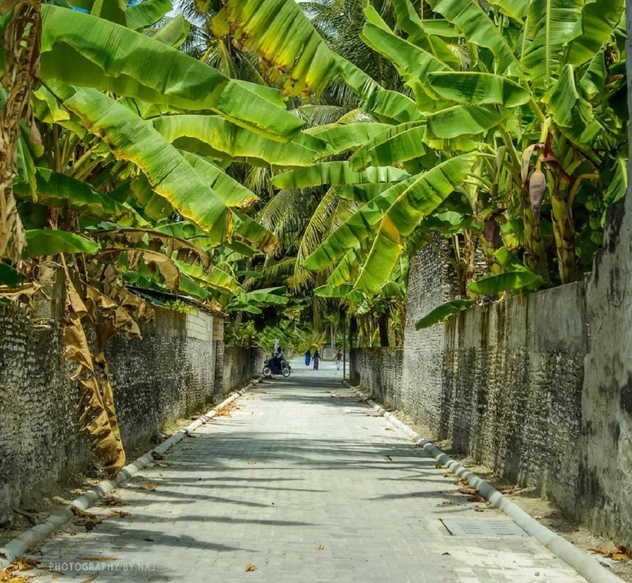 Street view in Charming Holiday Lodge
