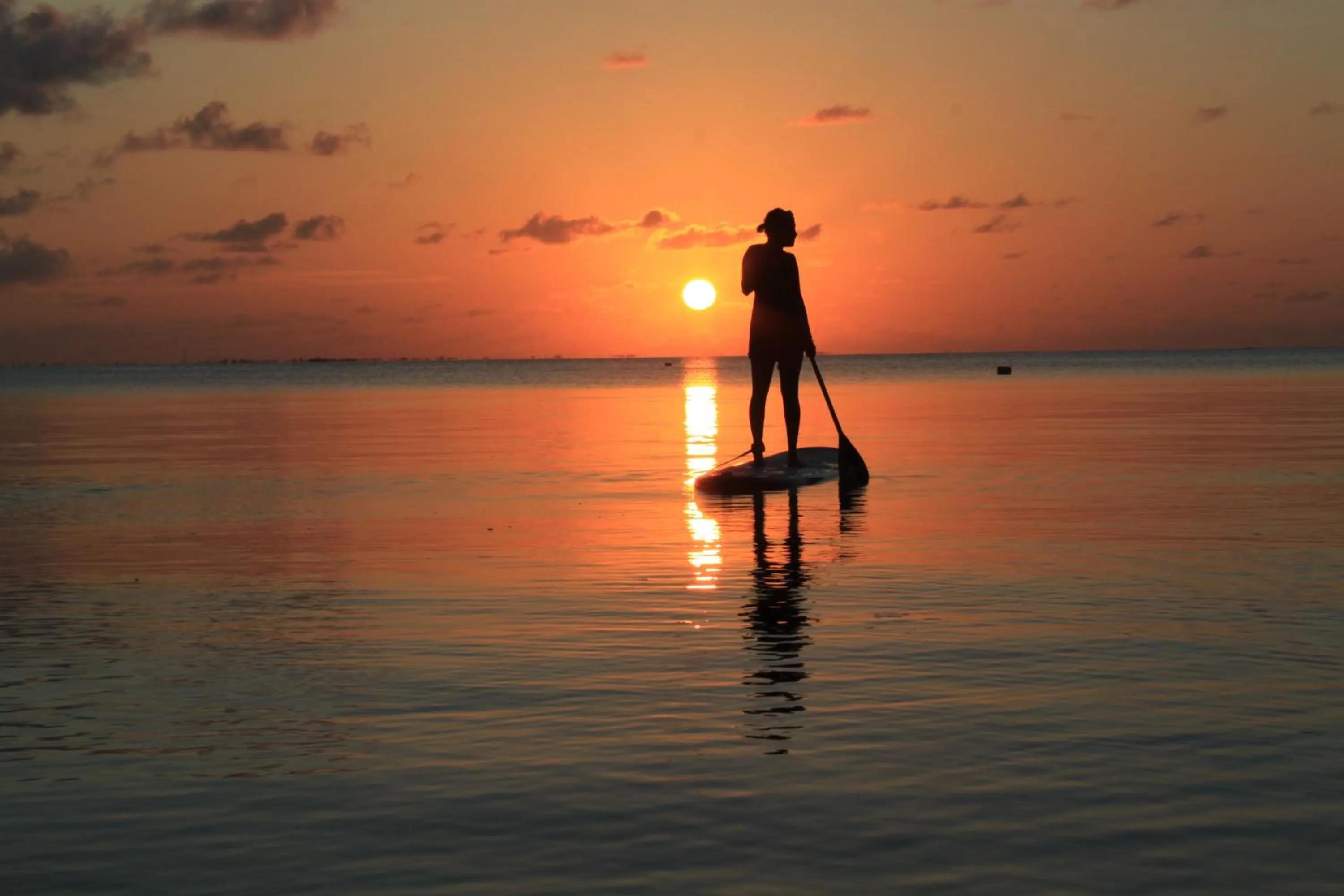 Canoeing in Charming Holiday Lodge