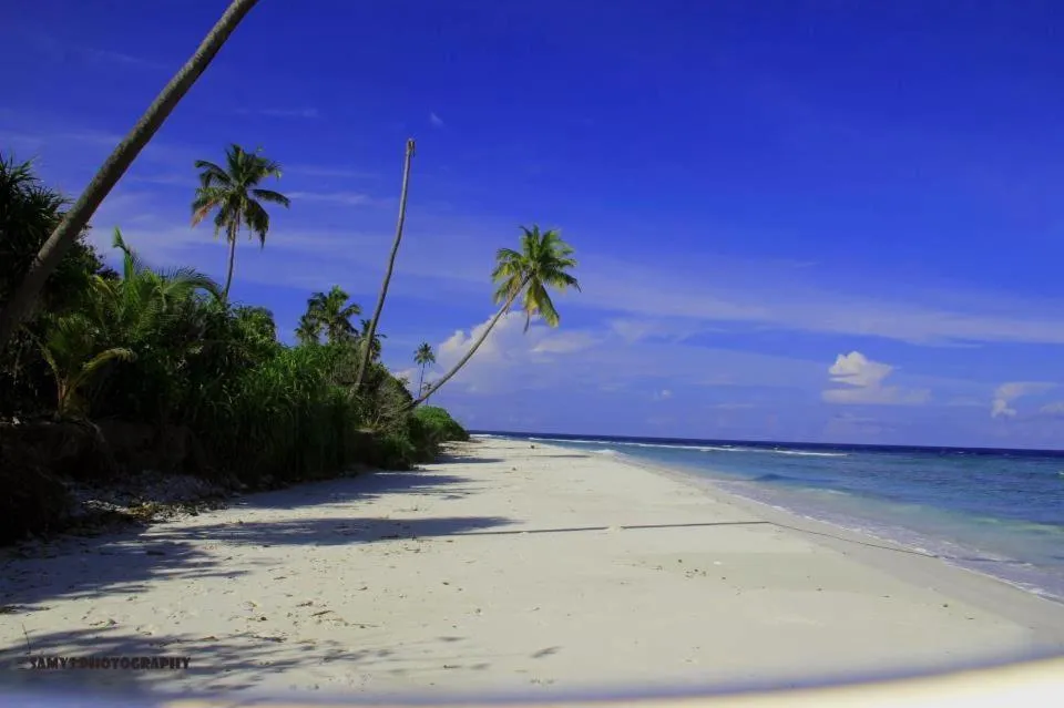 Beach in Charming Holiday Lodge