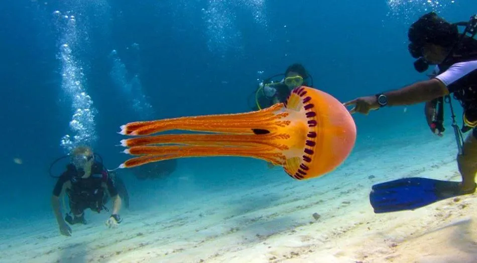 Staff in Charming Holiday Lodge