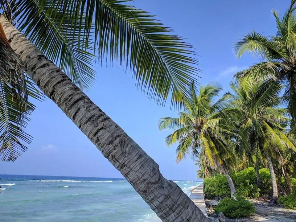 Beach in Charming Holiday Lodge