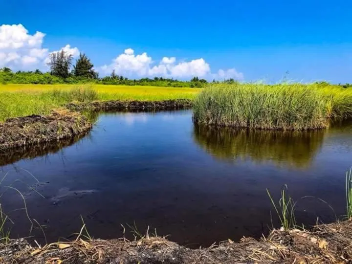 Natural landscape in Charming Holiday Lodge