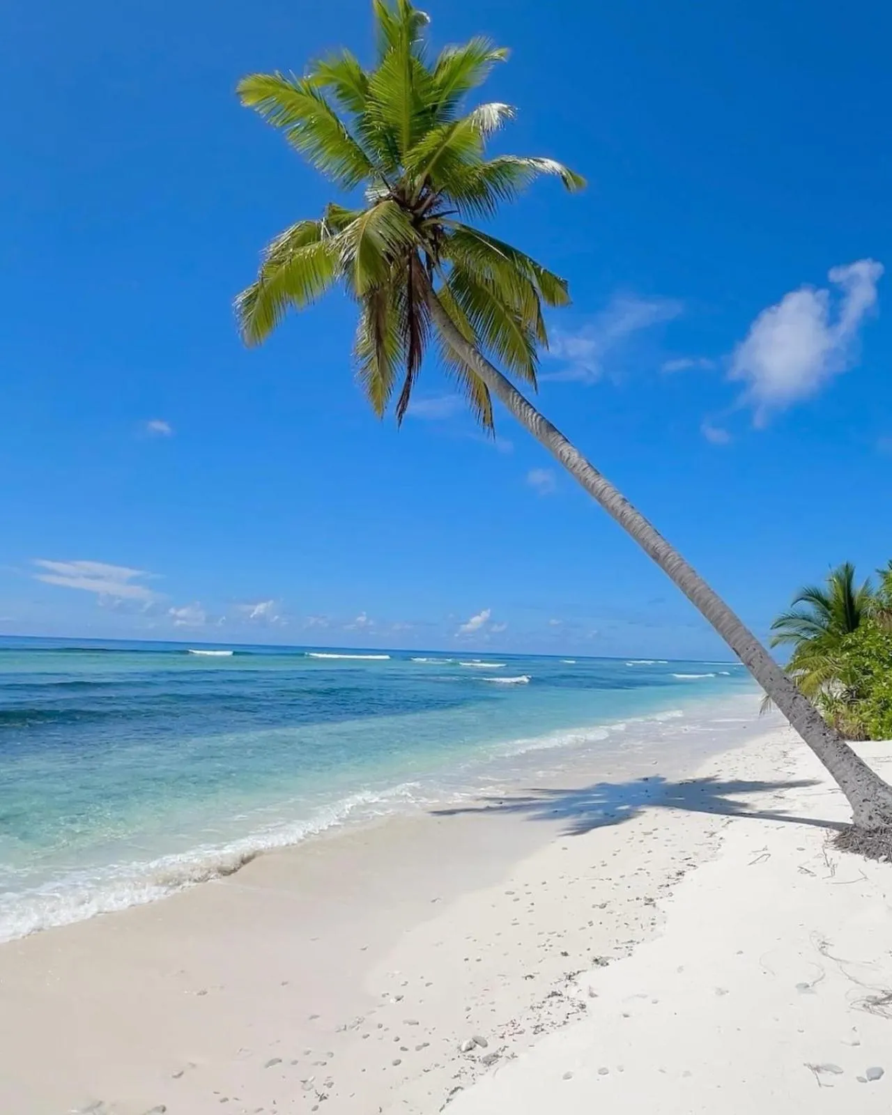 Charming Holiday Lodge