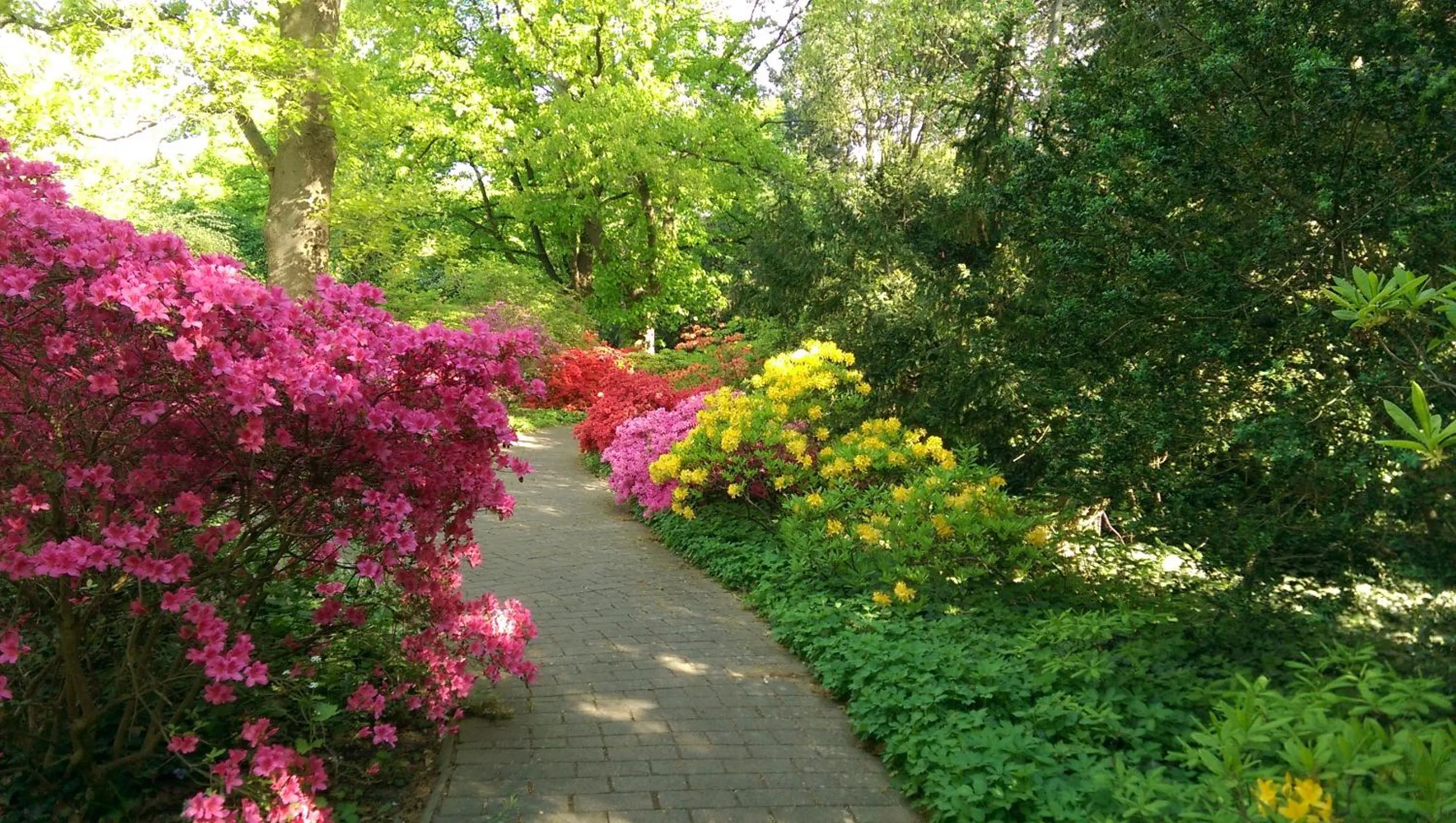 Garden in Congress Hotel am Stadtpark