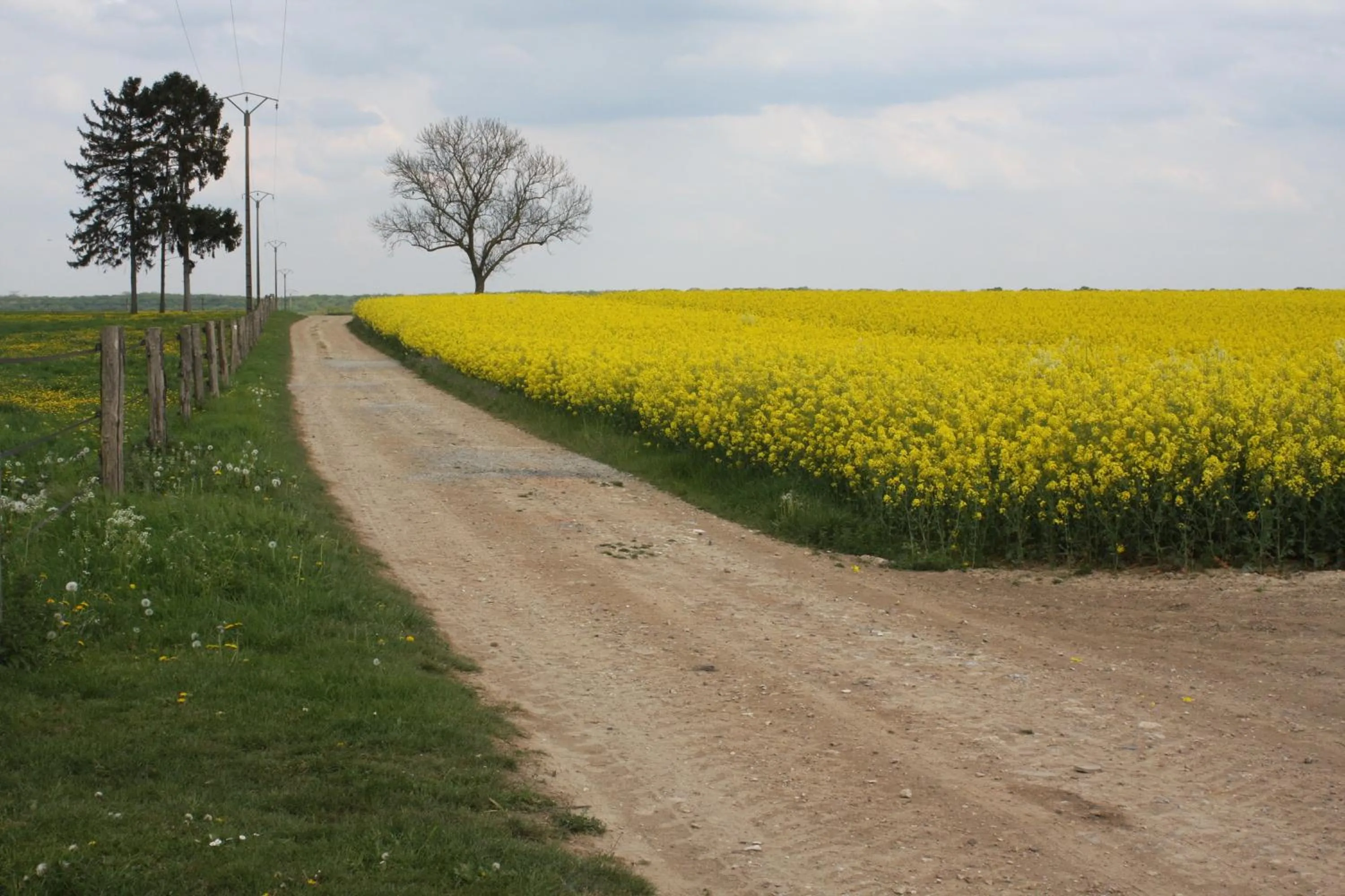 Spring in La Grange de Boulaines