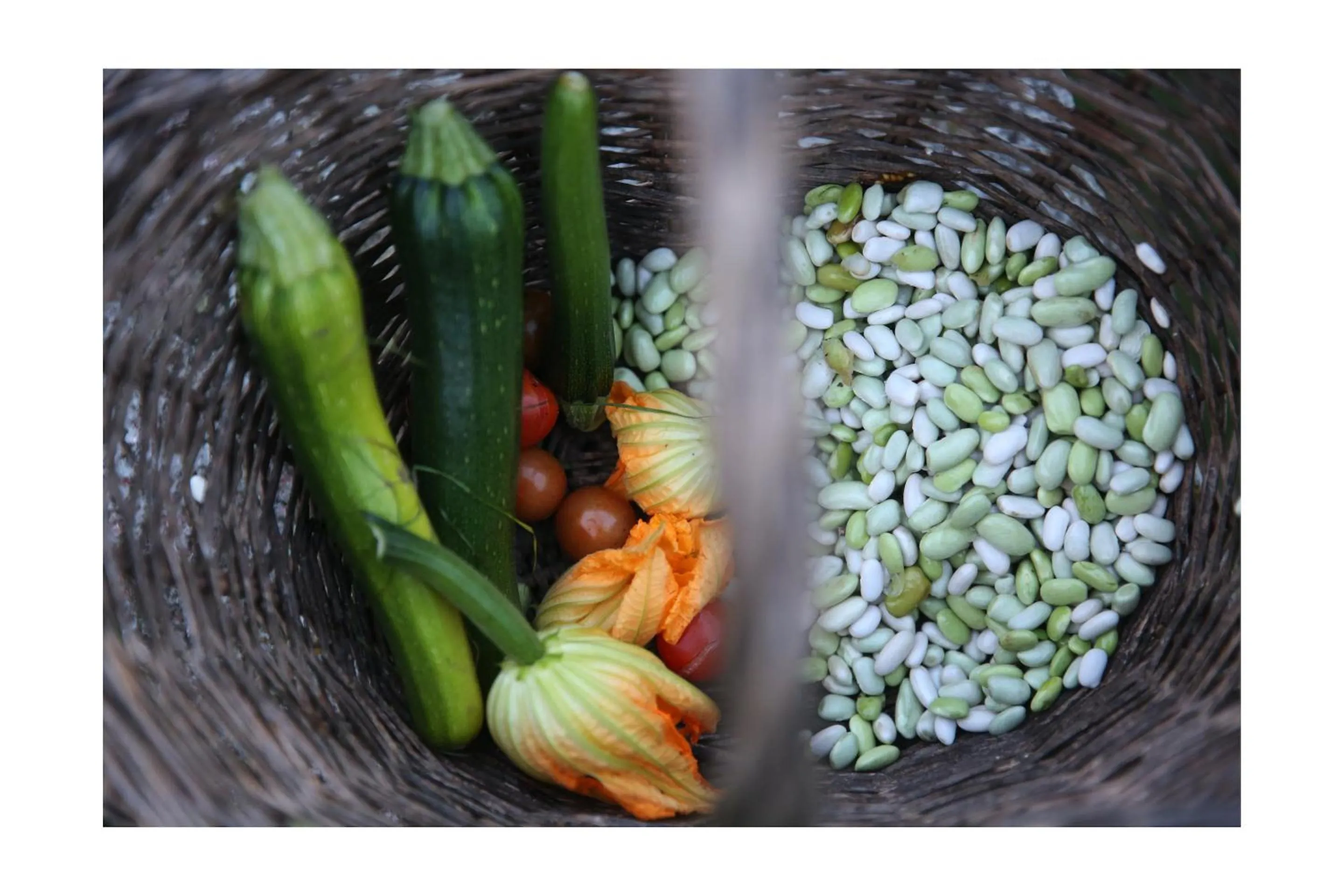 Garden in Château d'Harcelaines