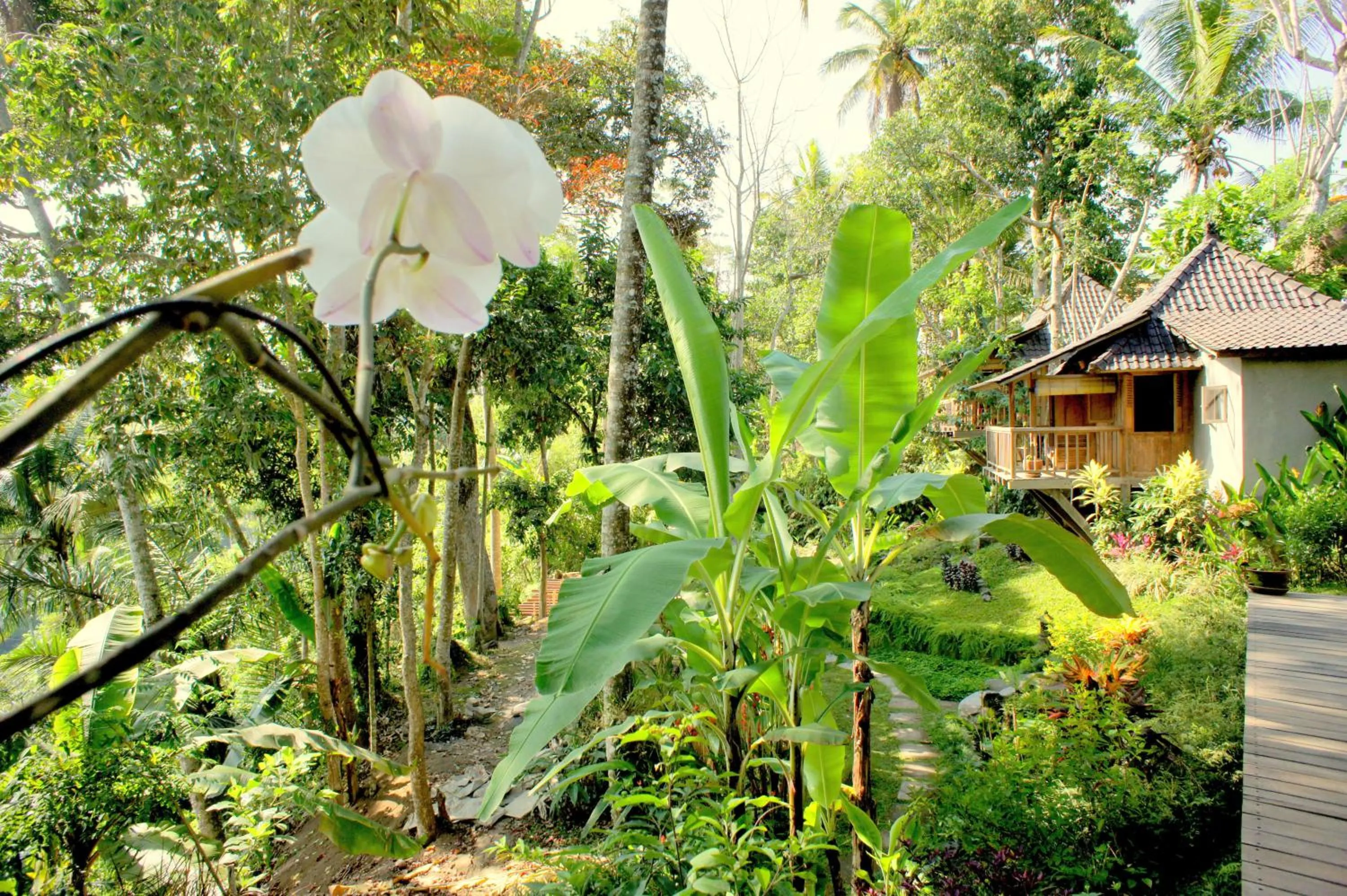 Garden in Prashanti Bali