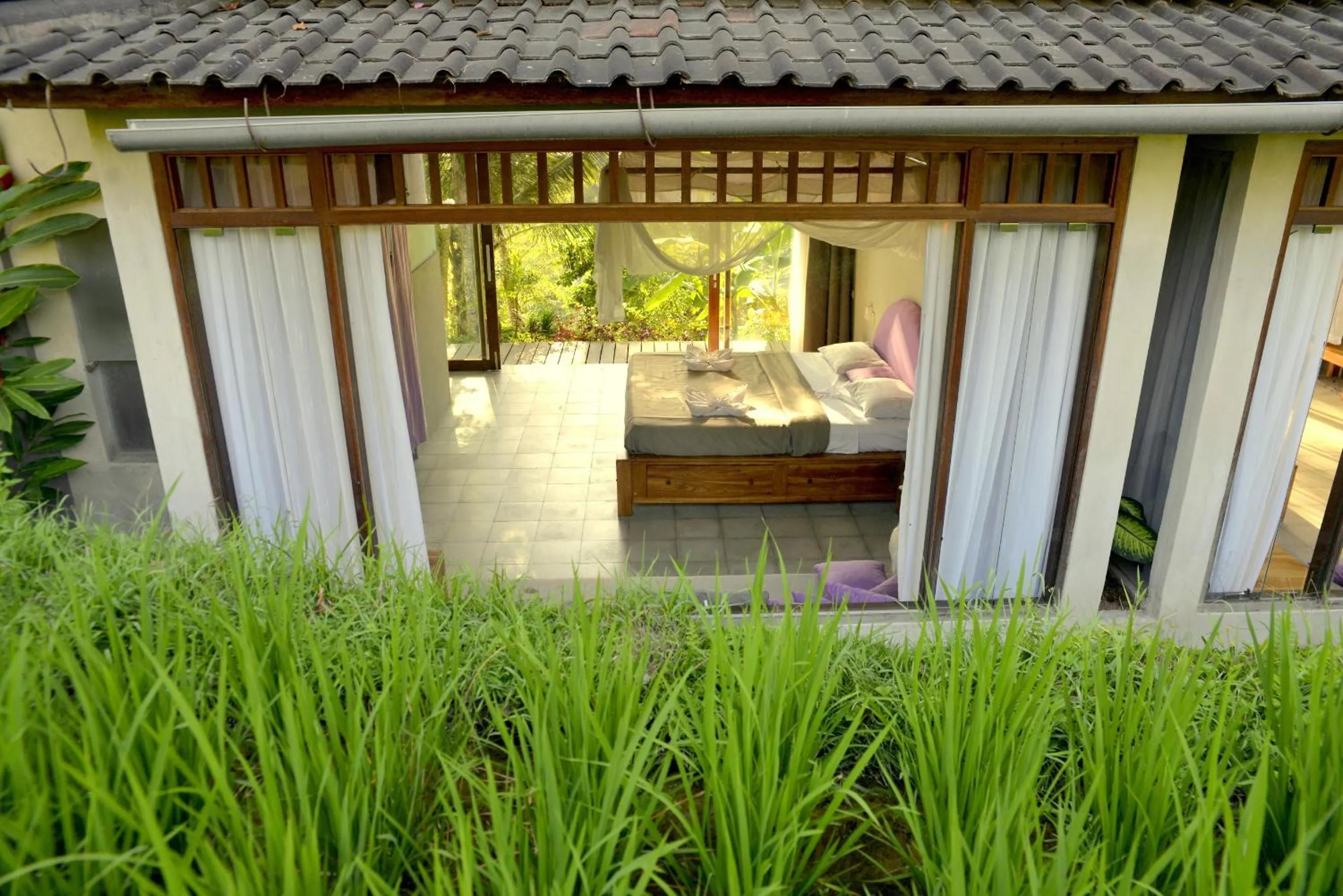 View (from property/room) in Prashanti Bali