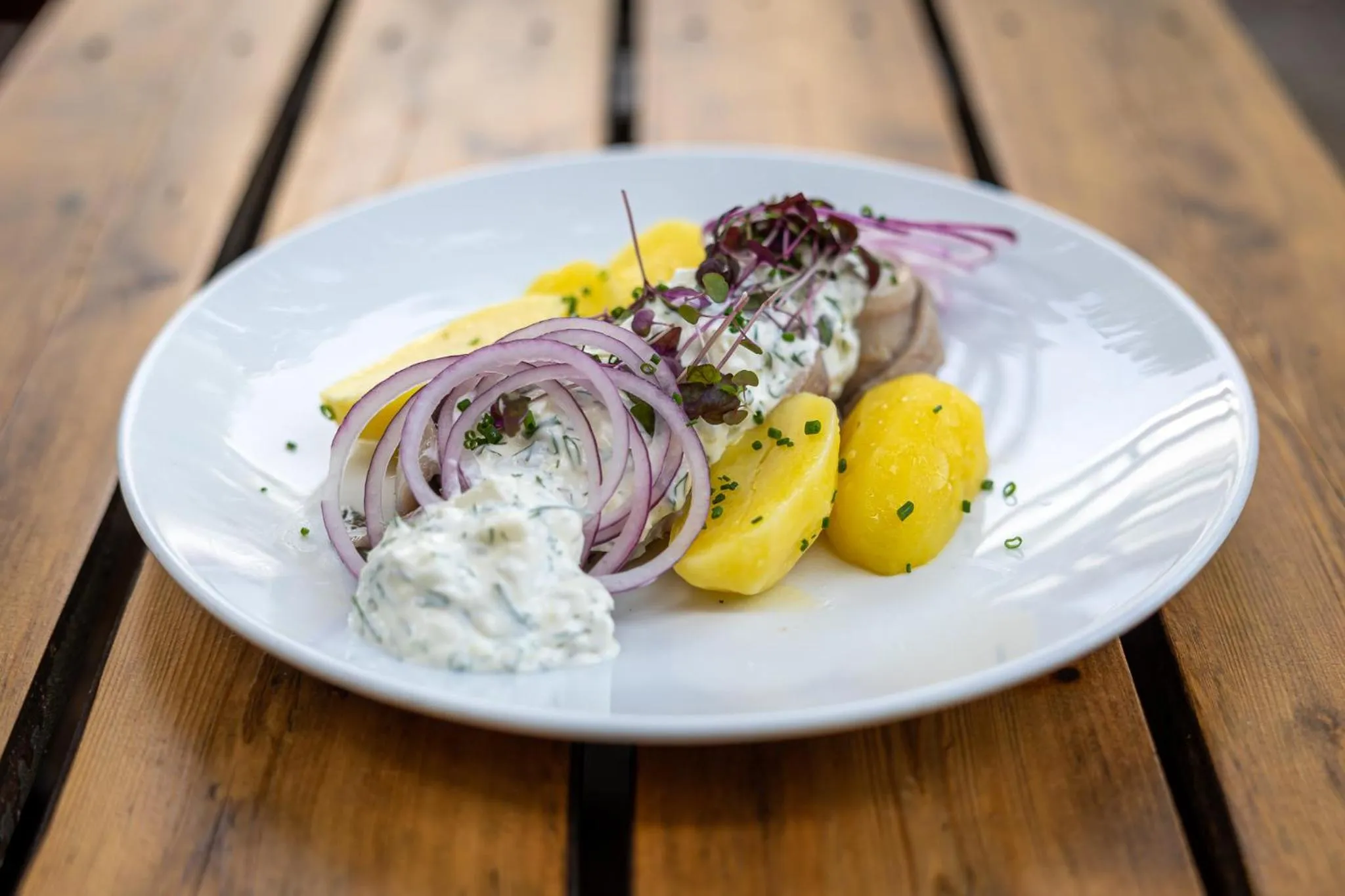 Food in art Hotel Tucholsky