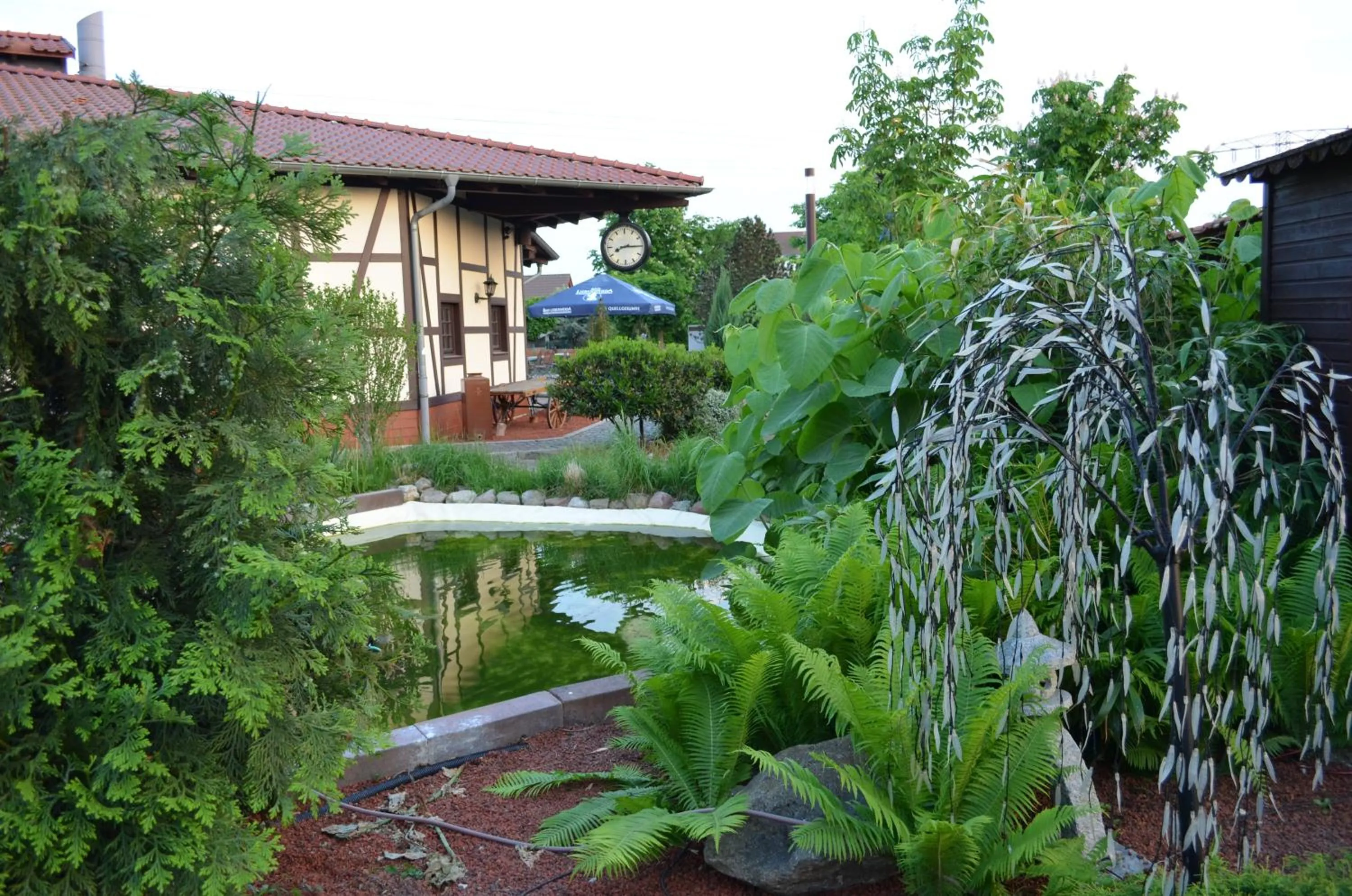 Garden in Hotel 3 Linden