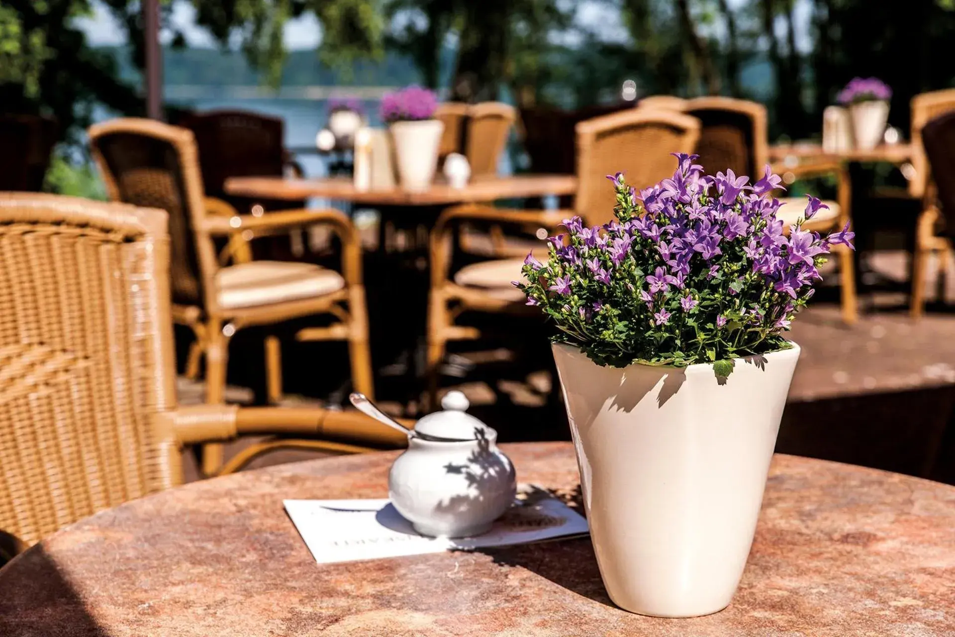 Restaurant/places to eat in Seehotel Heidehof Restaurant/places to eat in Seehotel Heidehof