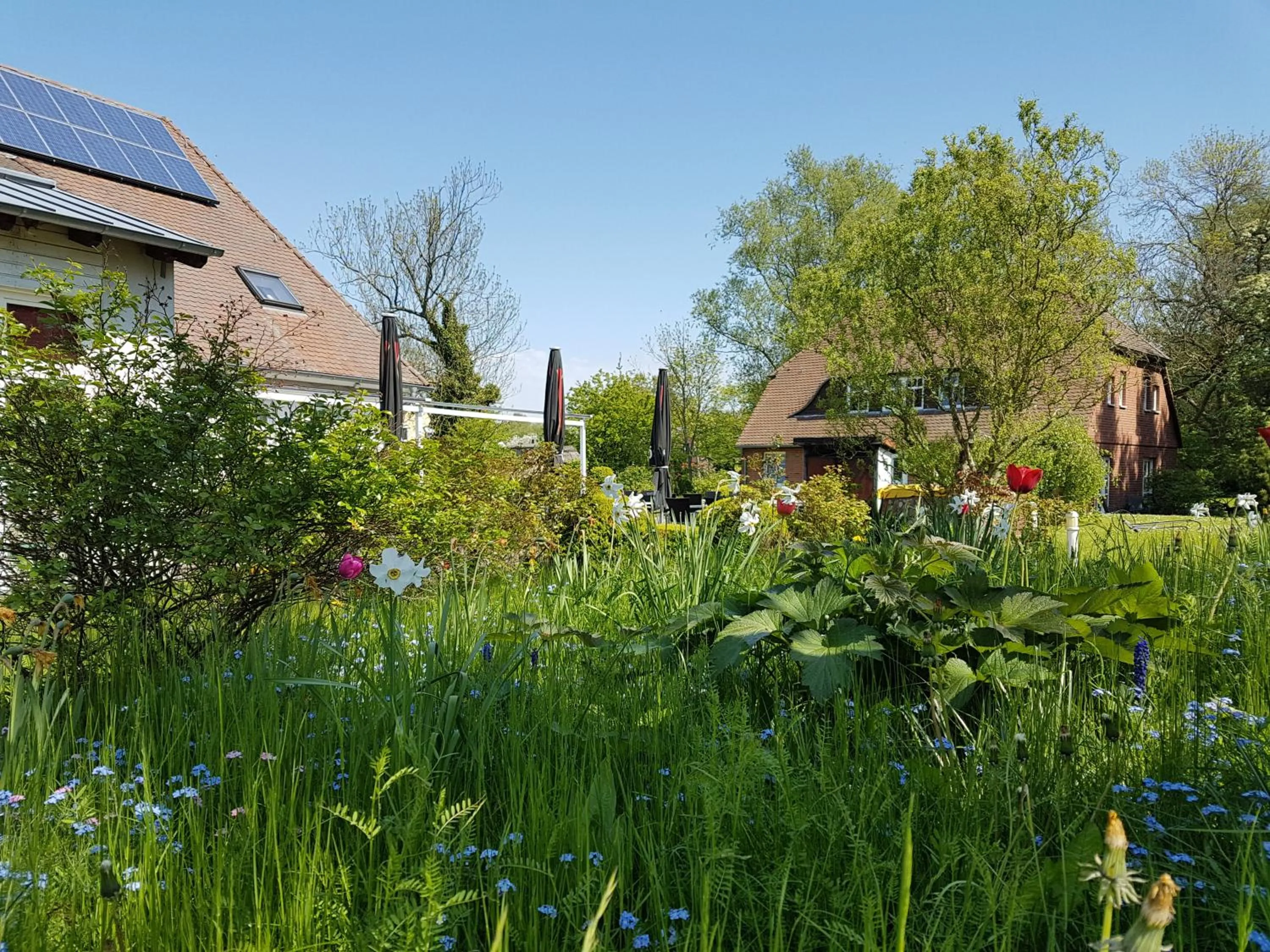 Hotel Alt Wittower Krug