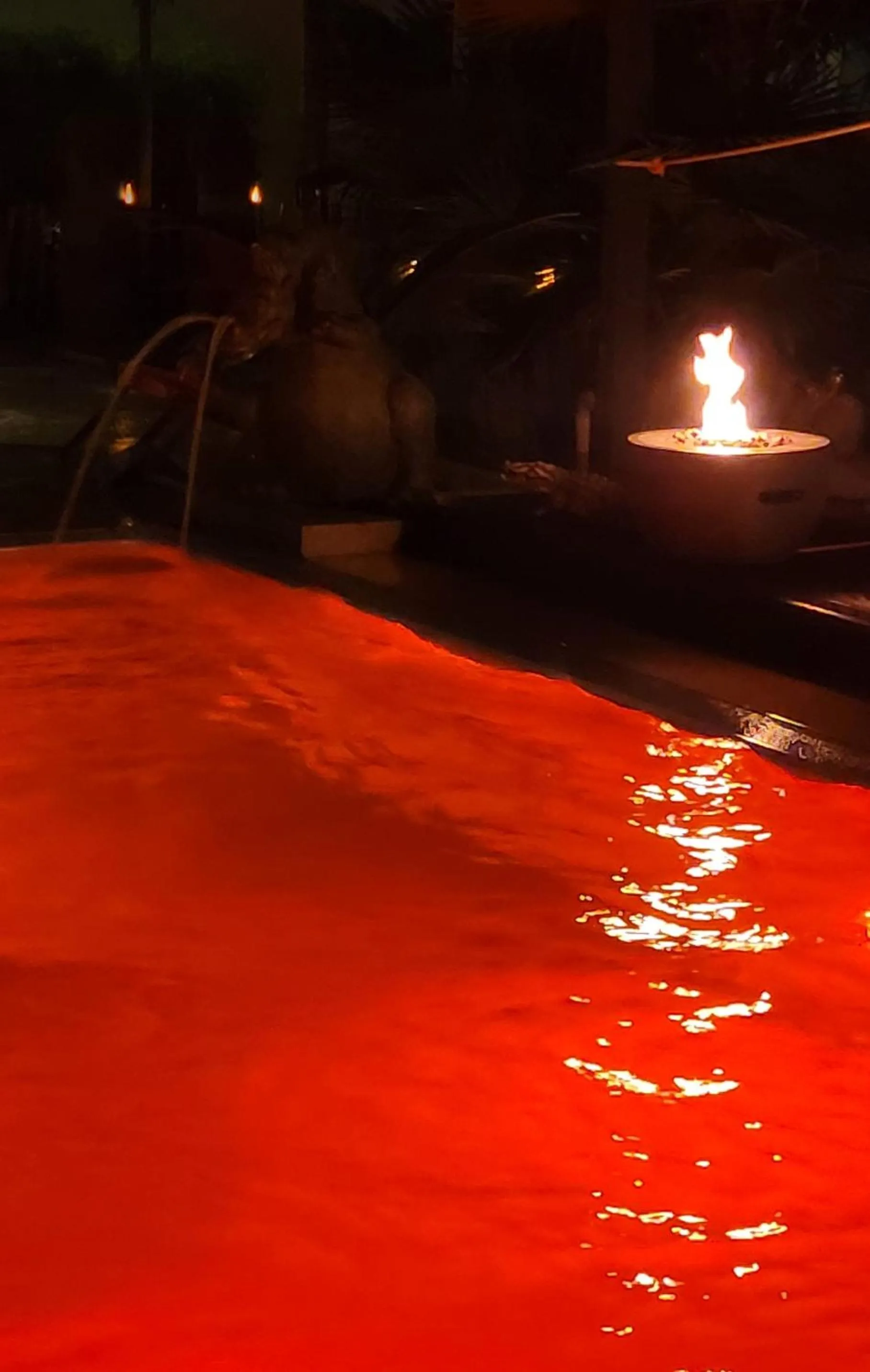 Swimming pool in AVALON ideal gelegen zwischen Europapark und Rulantica