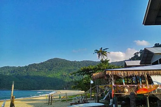 Beach in Beachfront Hut Upstairs Astra - Beach Shack Chalet