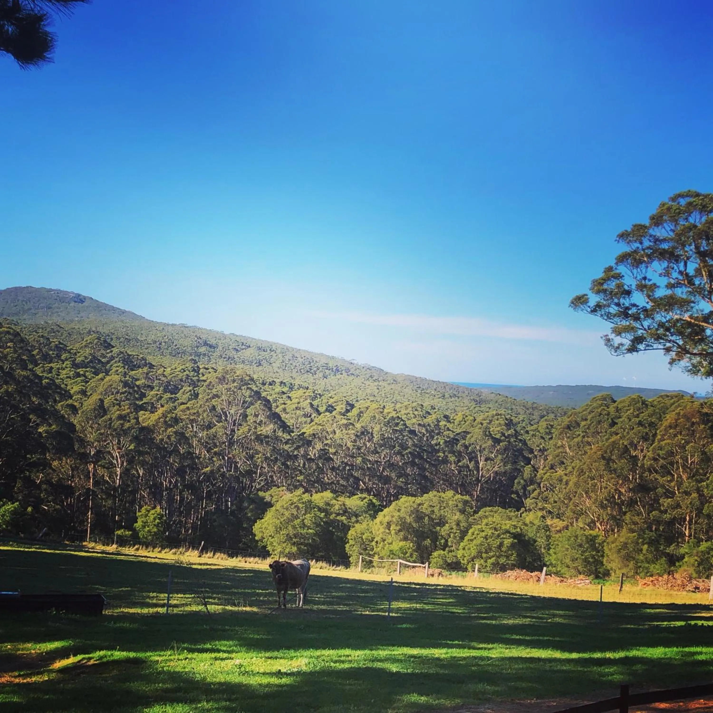 Turicum AT Monkey Rock Winery & Cider