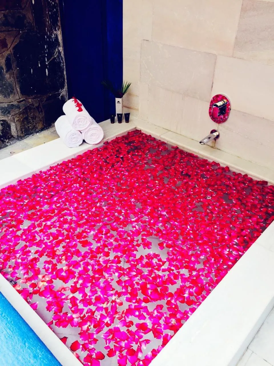 Other in Ramee Royal Resort & Spa - Udaipur