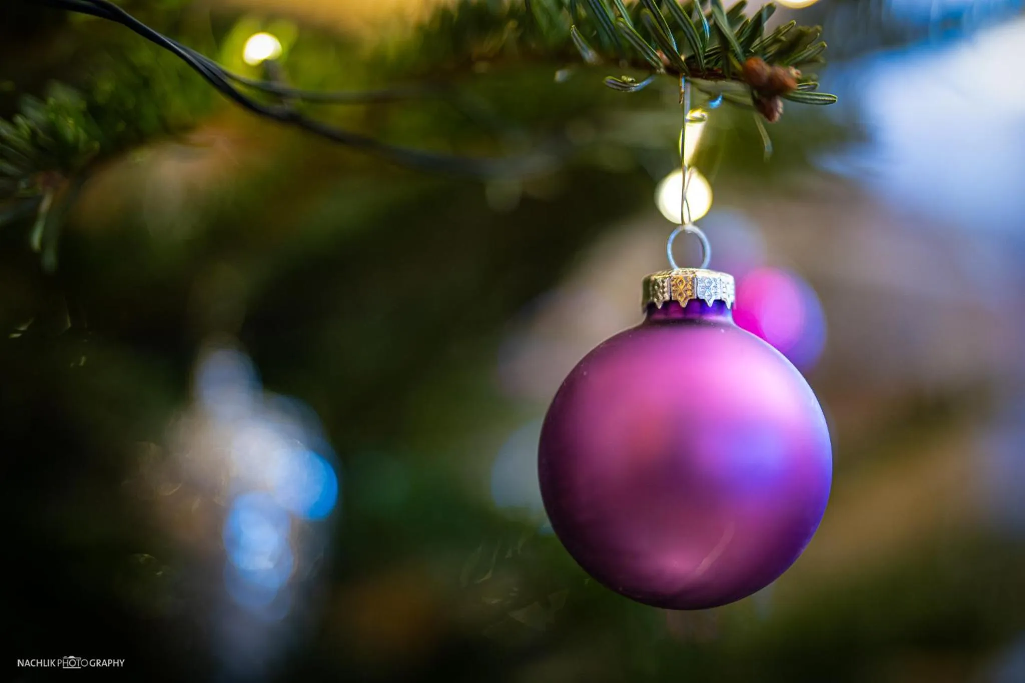 Schlosshotel Westerholt