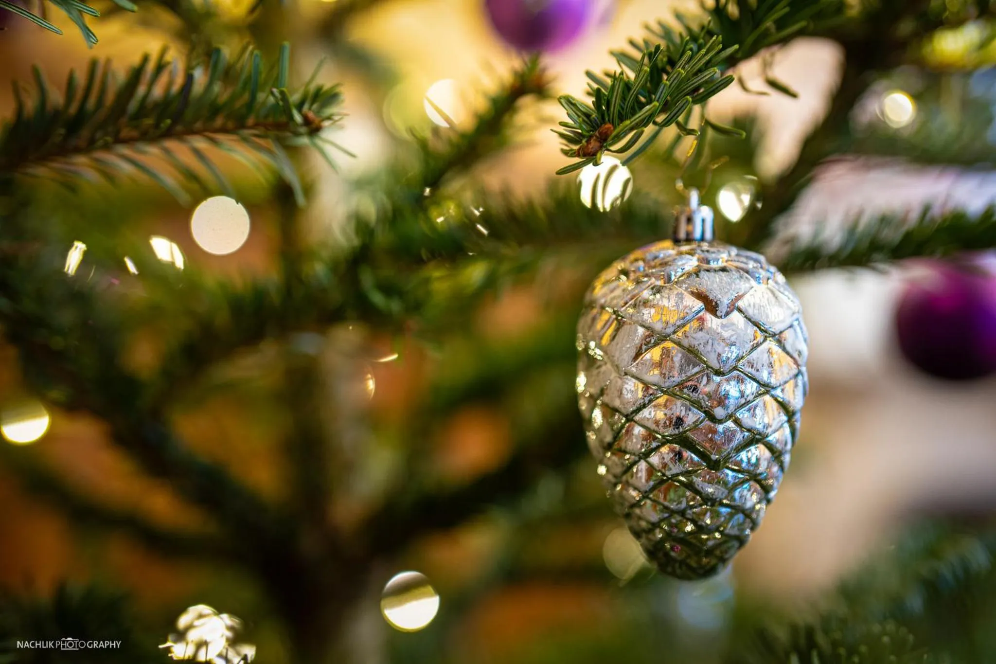 Schlosshotel Westerholt