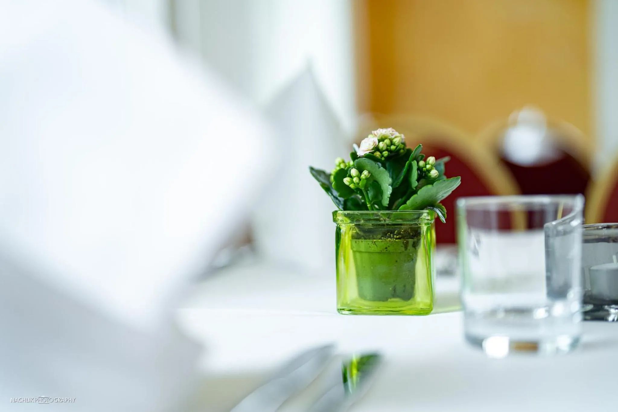 Schlosshotel Westerholt