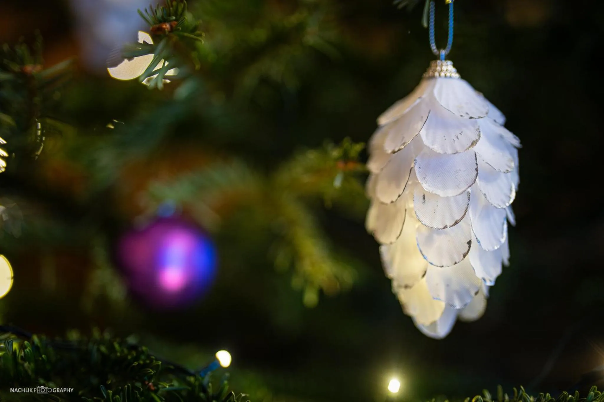 Schlosshotel Westerholt