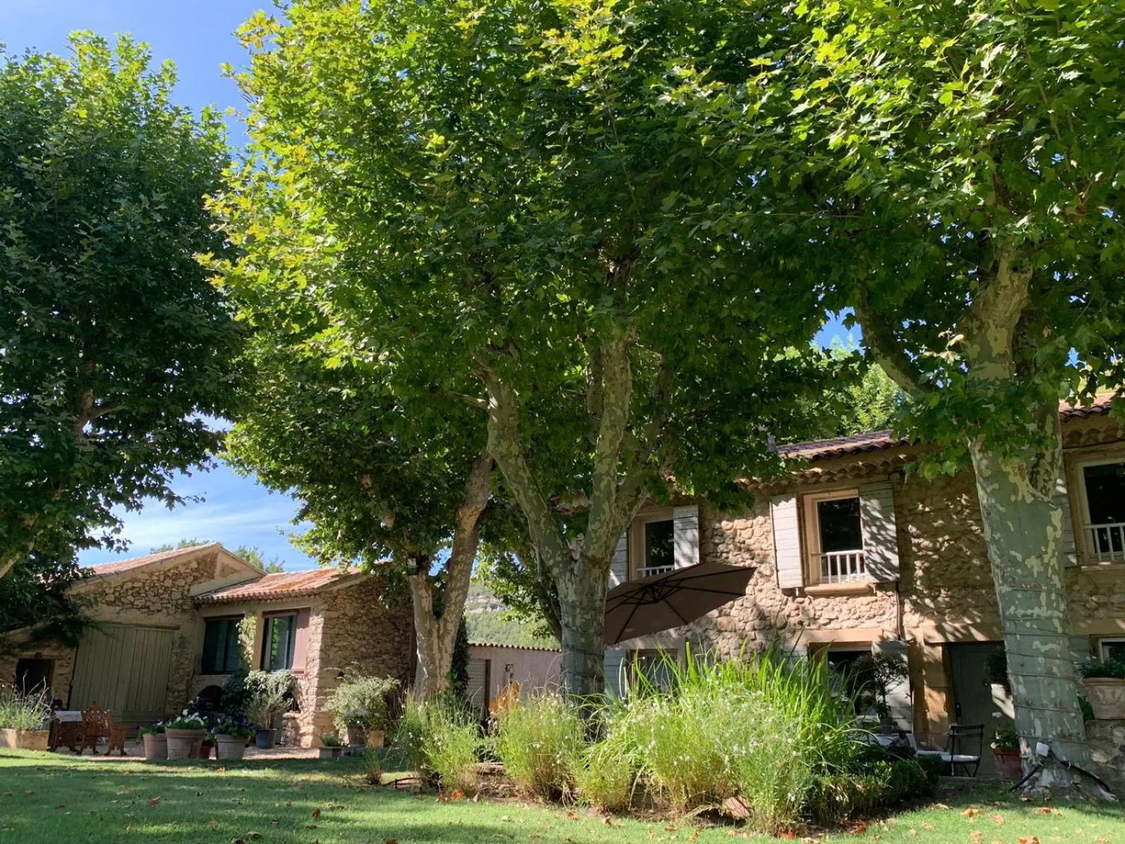 Garden in La Melizanne