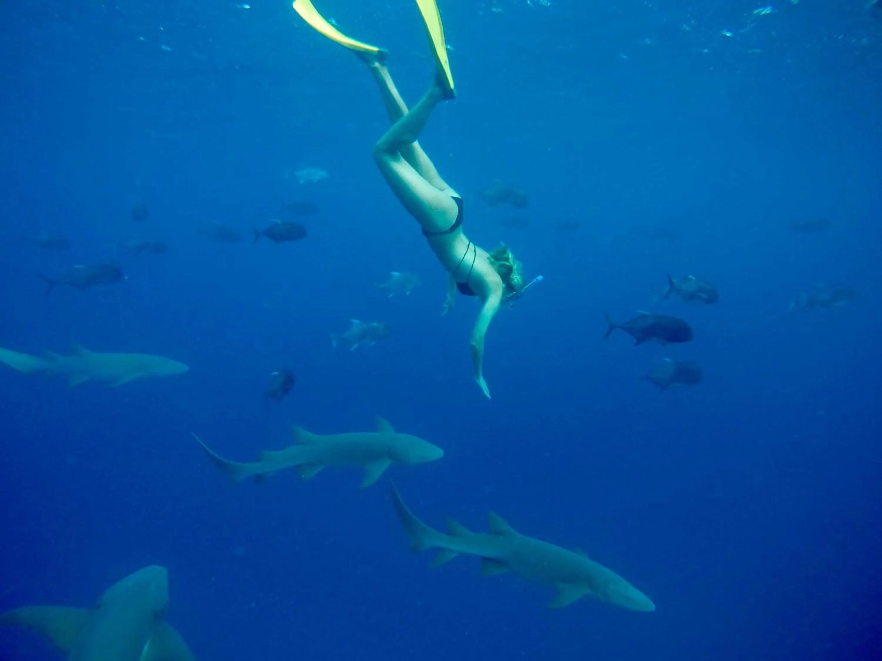 Activities in Huvan Inn