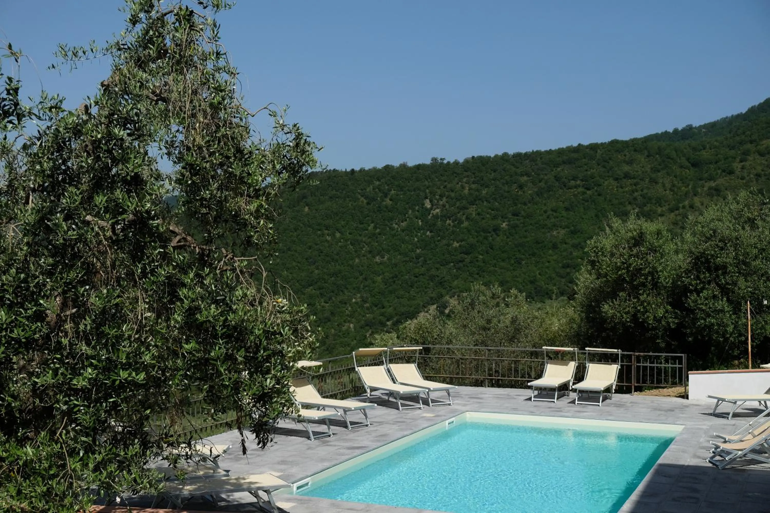 Pool view in Agriturismo Antico Loggiato