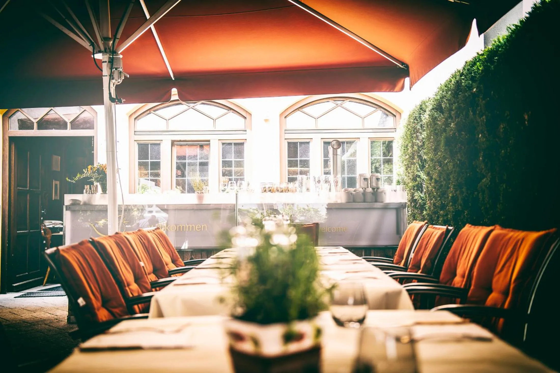 Patio in Restaurant Residence Ente