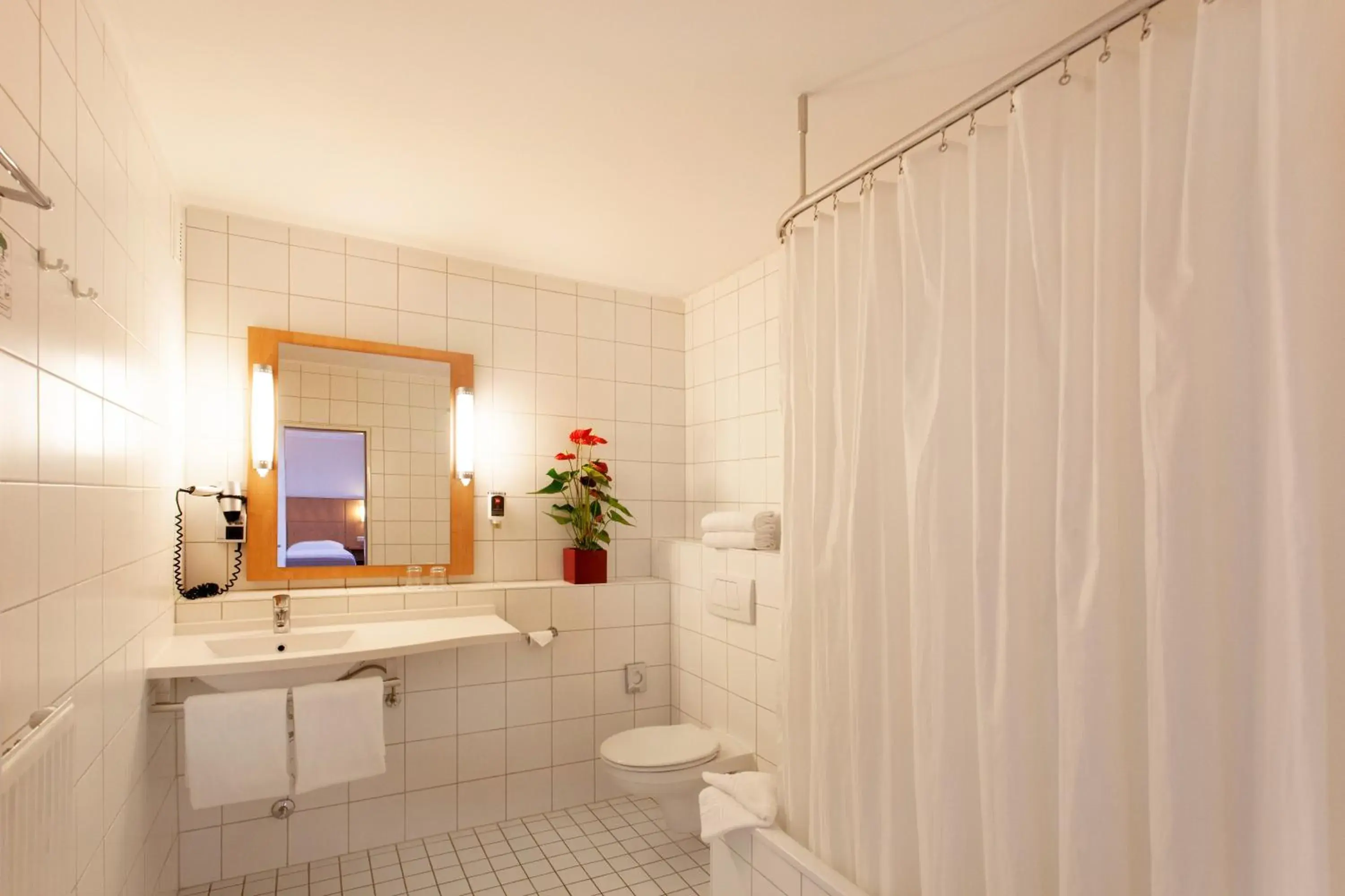 Toilet, Bathroom in ibis Saarbrücken City