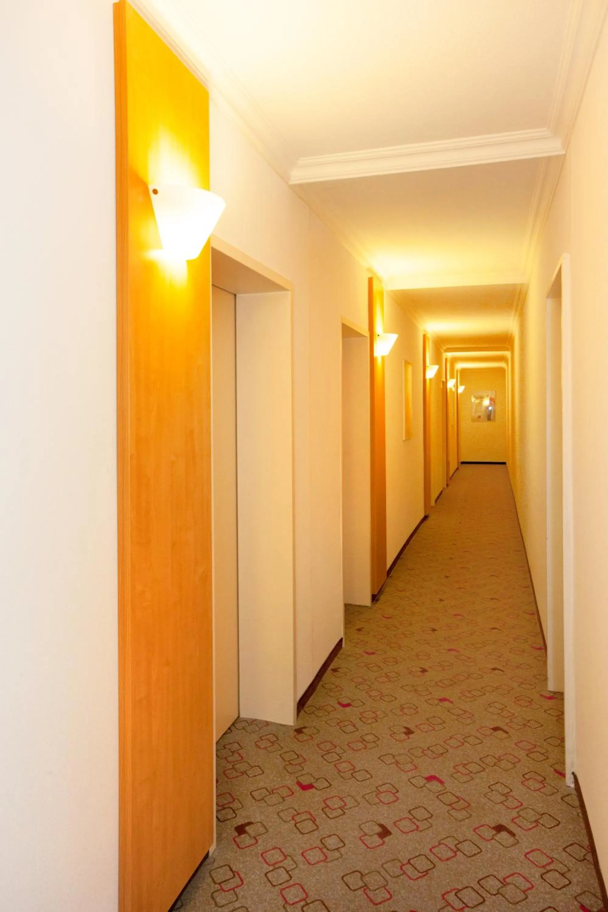 Decorative detail in ibis Saarbrücken City