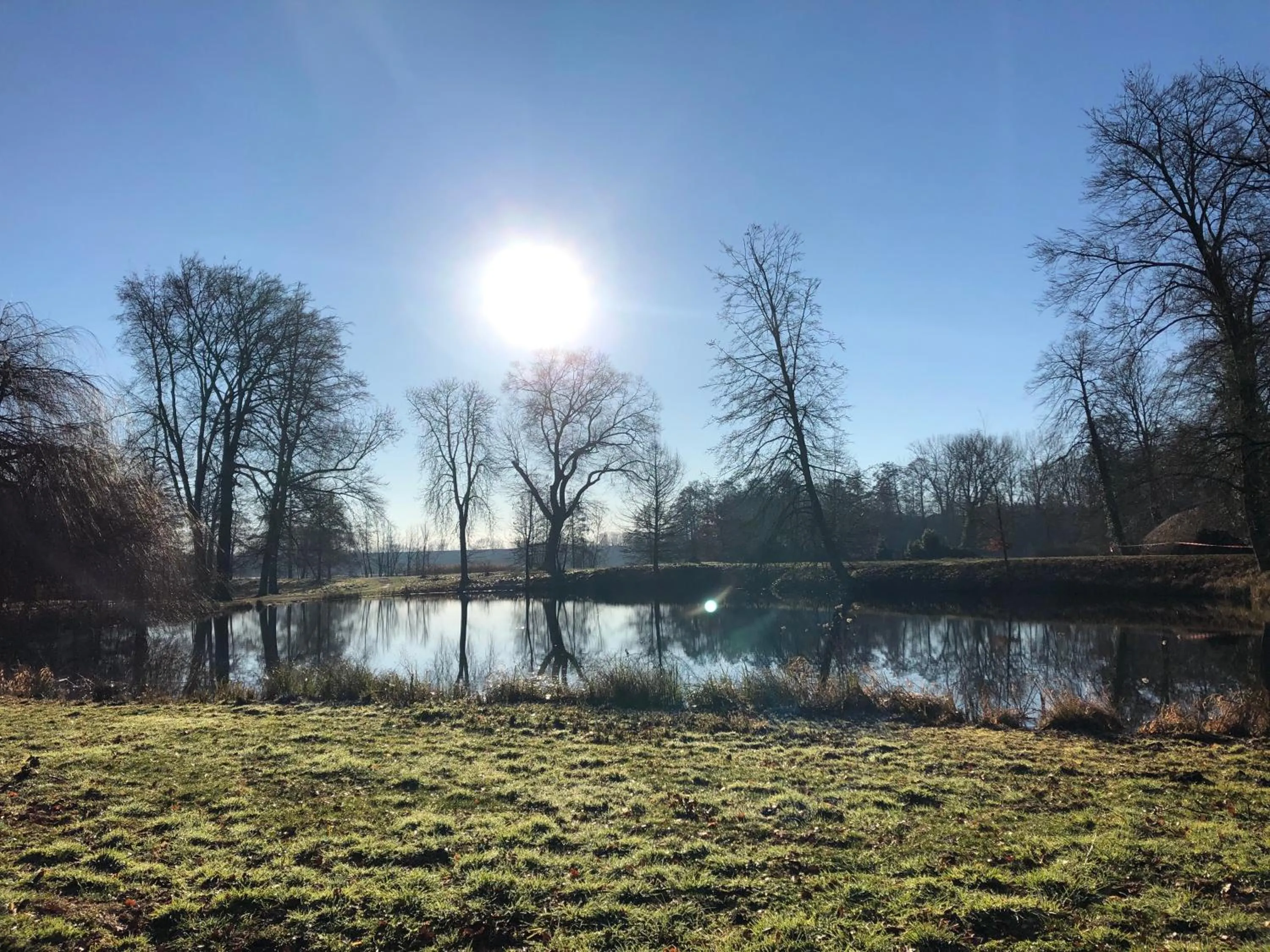 Nearby landmark in Hotel am Doktorplatz