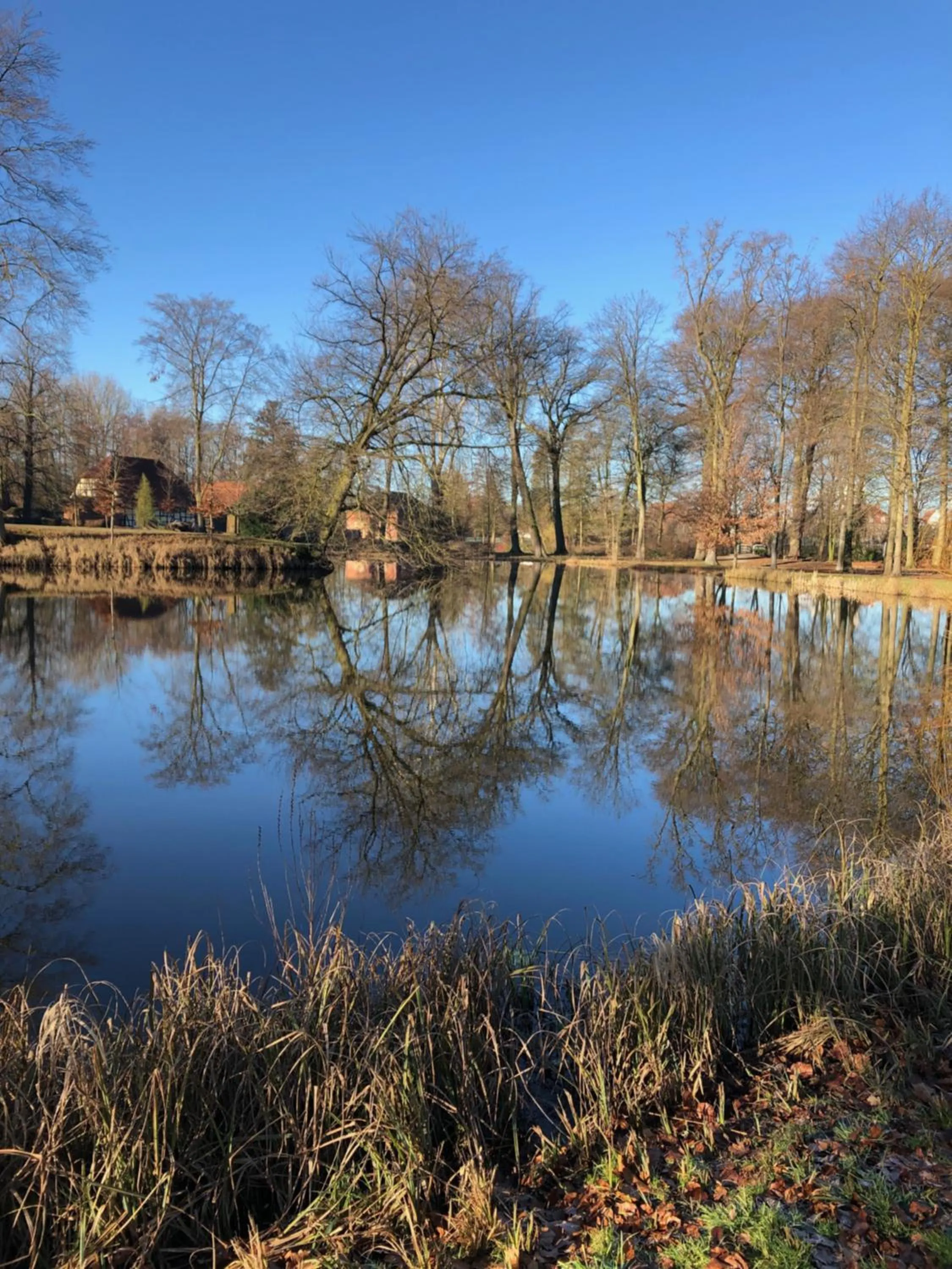 Nearby landmark in Hotel am Doktorplatz