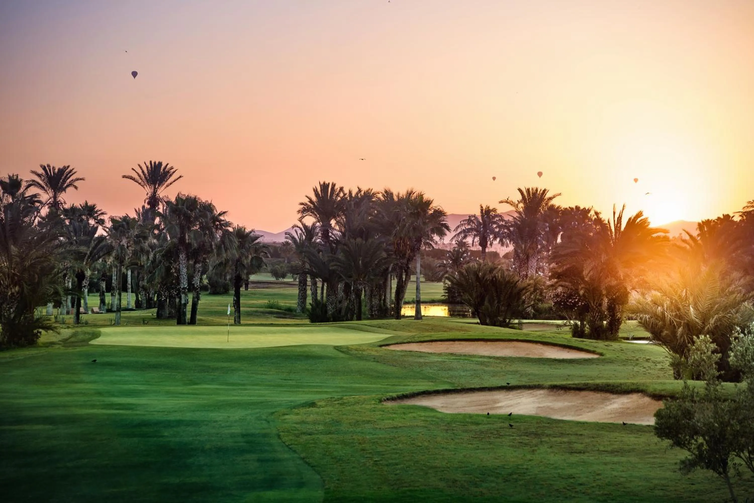 Natural landscape, Golf in Golf Club Rotana Palmeraie