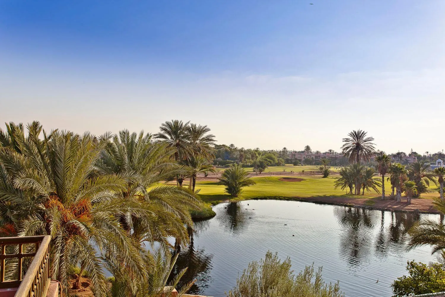 View (from property/room) in Golf Club Rotana Palmeraie