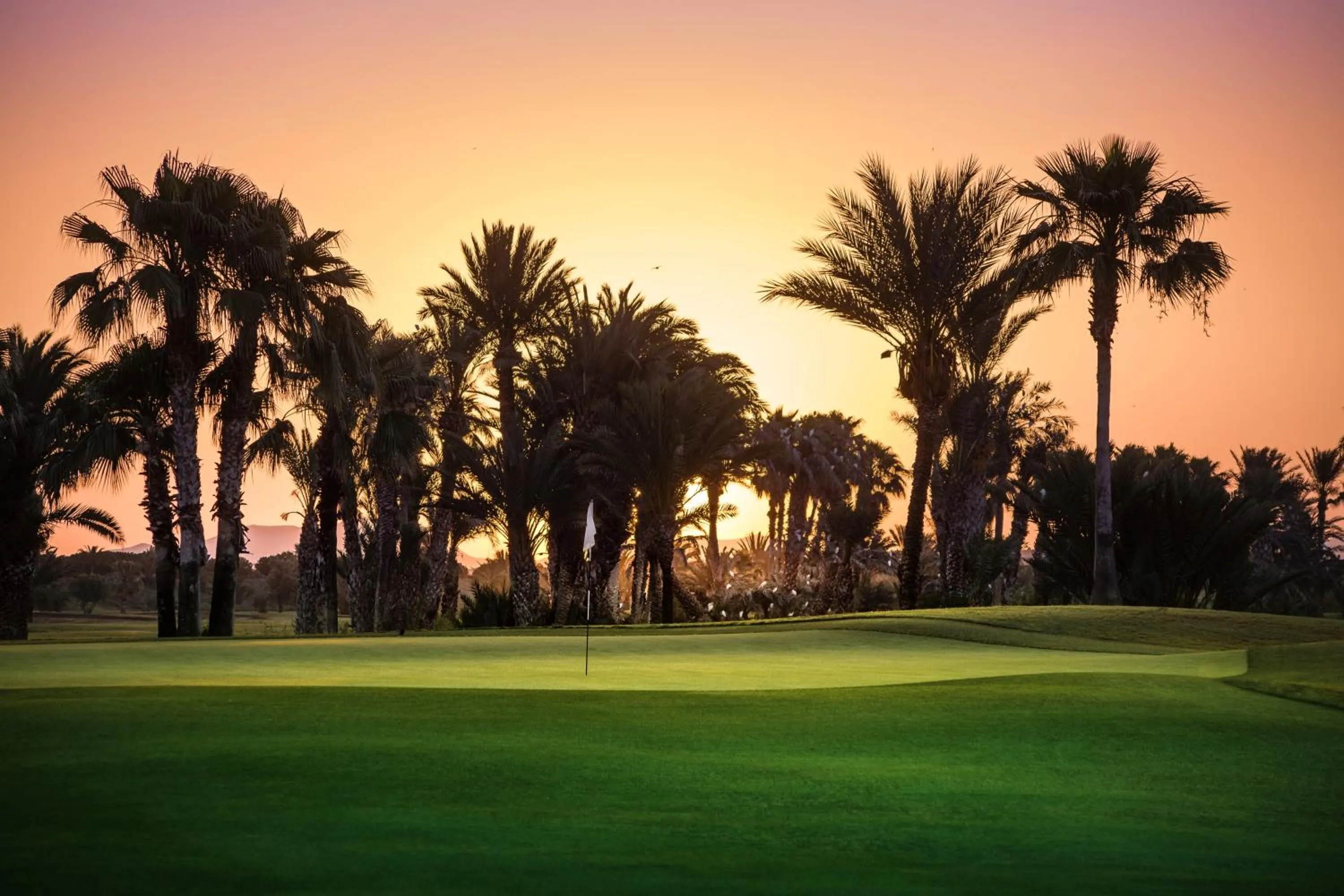 Golfcourse, Golf in Golf Club Rotana Palmeraie