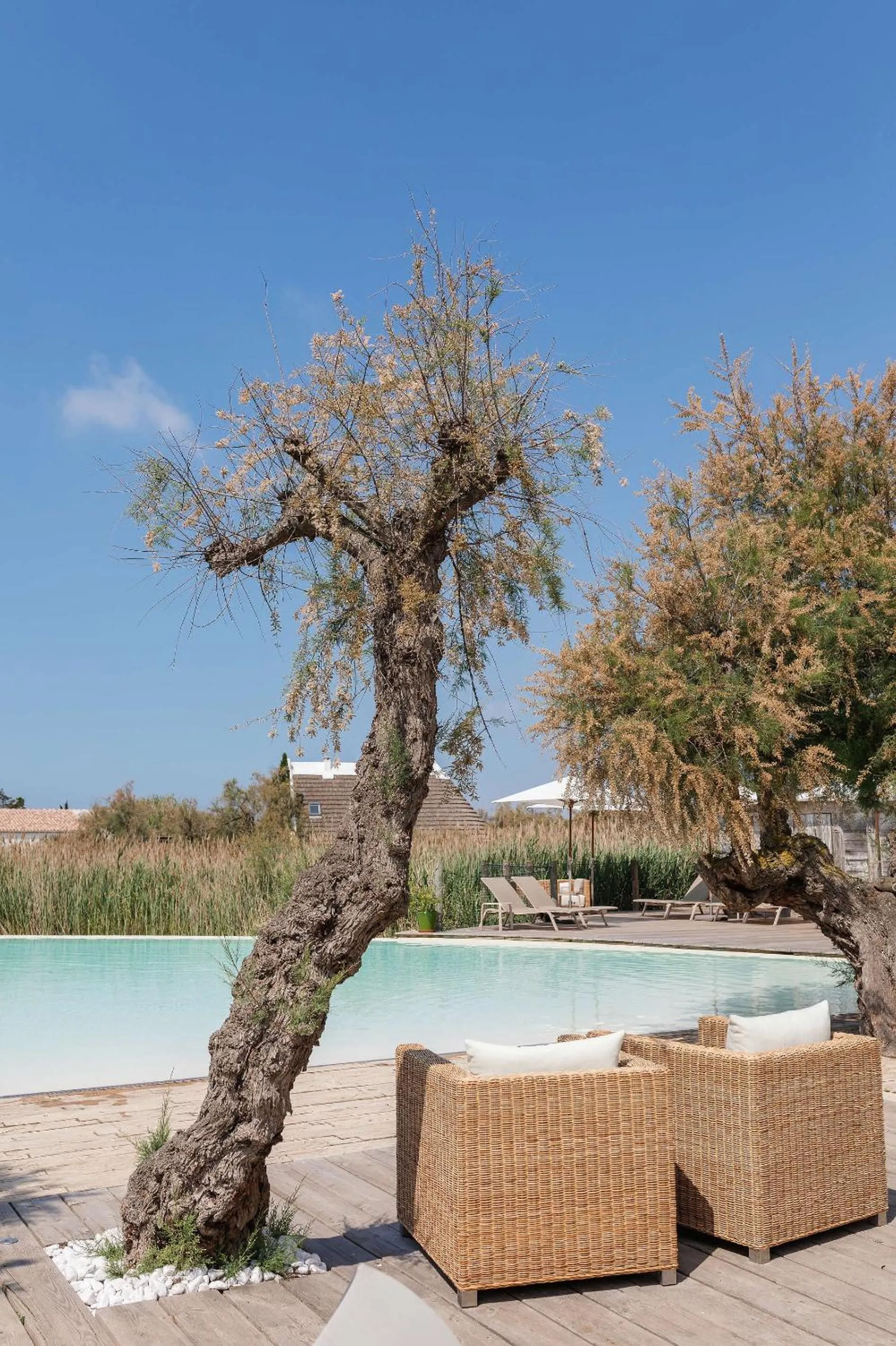 Swimming pool in Hôtel Restaurant Les Arnelles