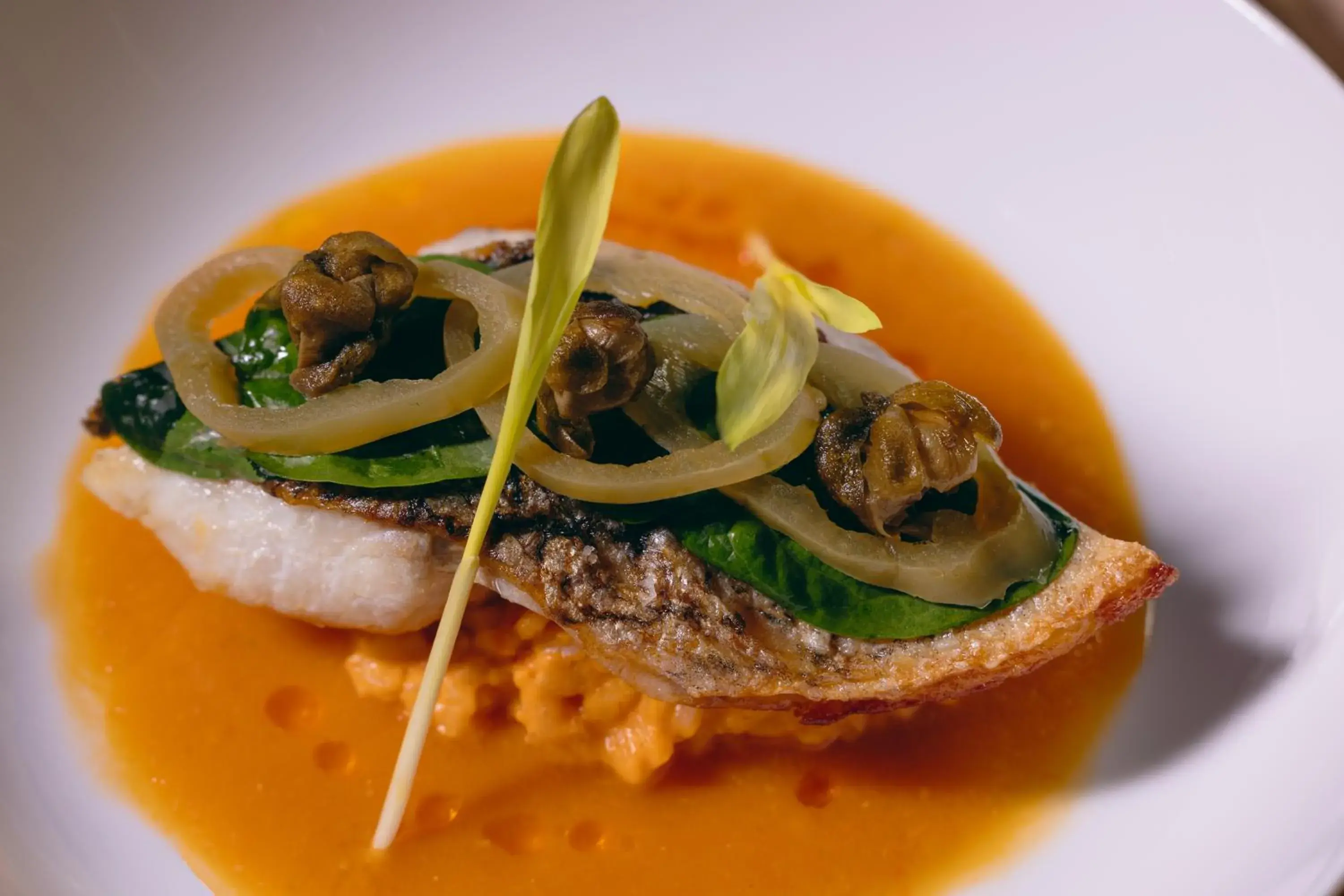 Food in La Casa de la Playa by Xcaret- All Inclusive Adults Only Food in La Casa de la Playa by Xcaret- All Inclusive Adults Only