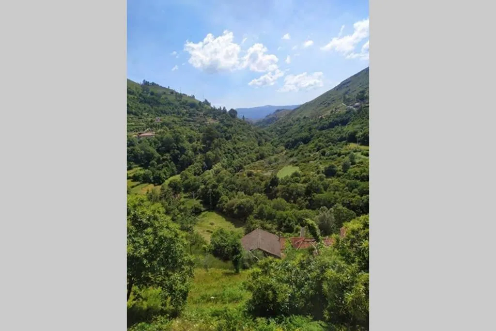 Natural landscape in Casa da quintinha - Turismo rural