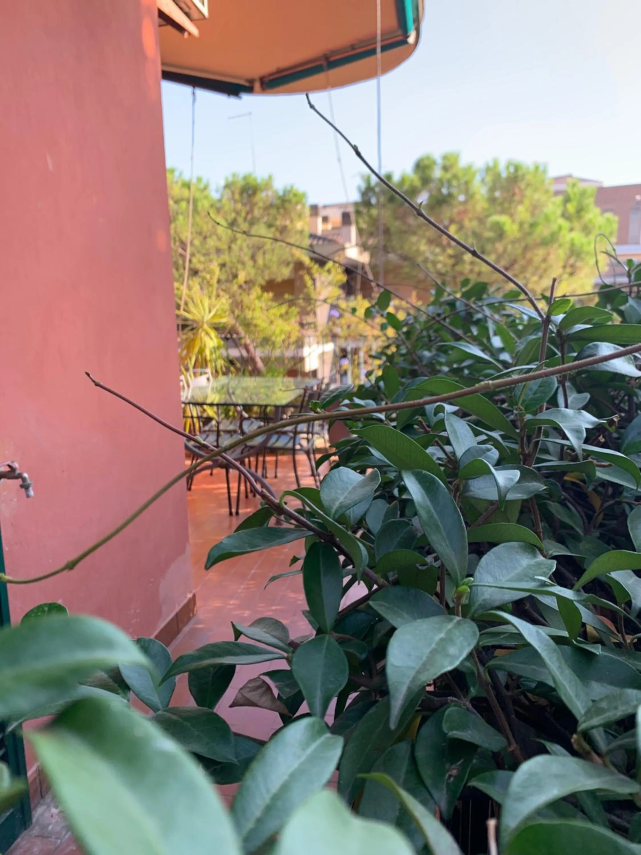 Balcony/Terrace in EMI's Guest House