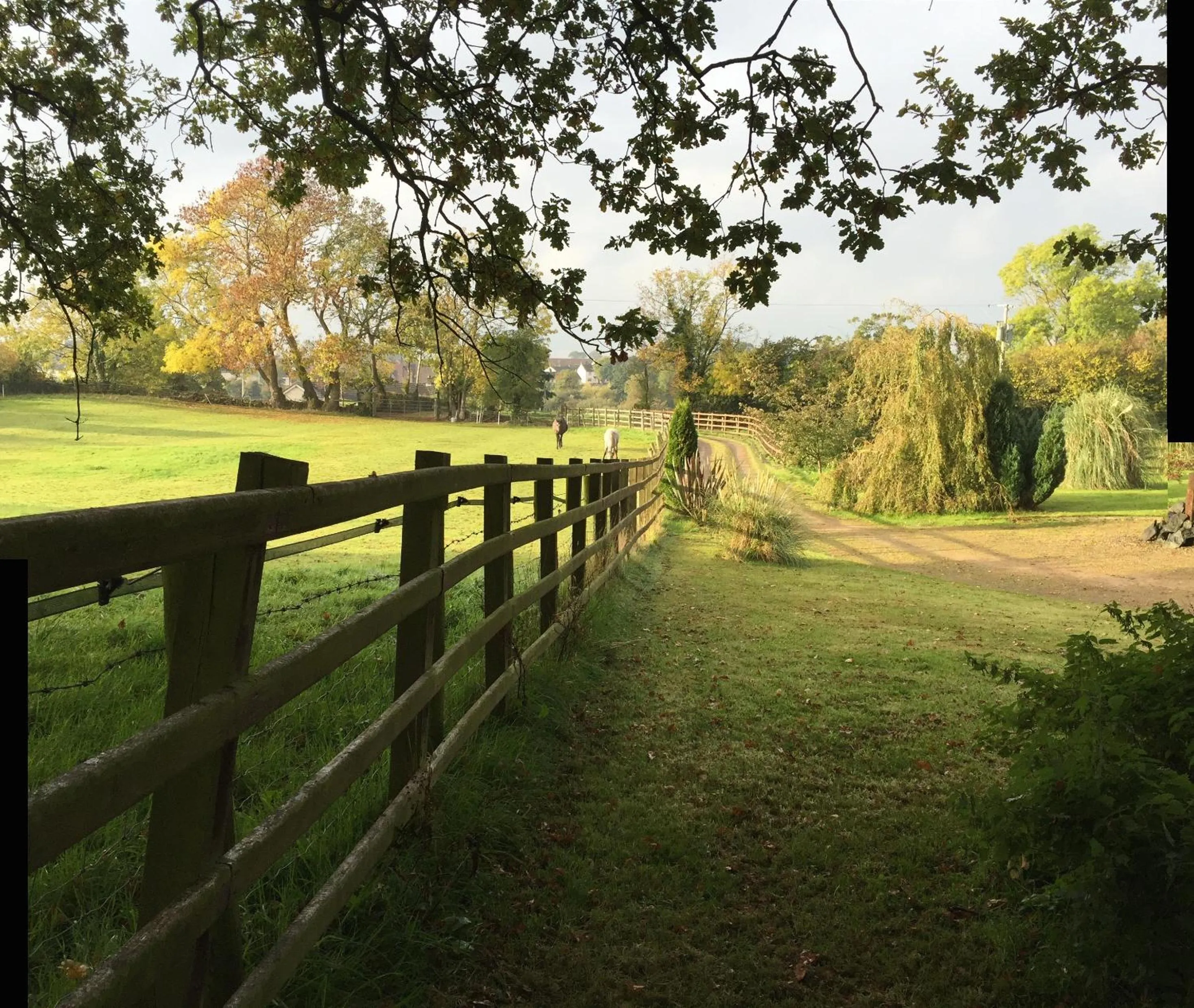 Garden in The Vandees