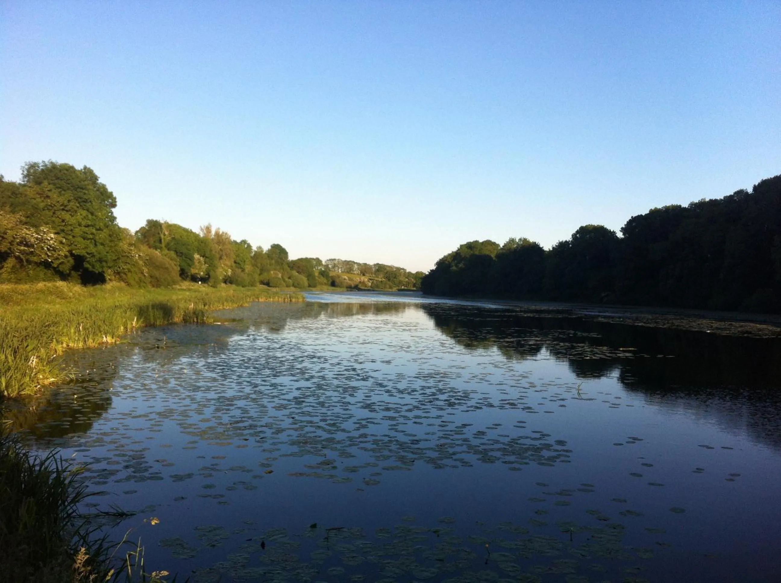 Natural landscape in The Vandees