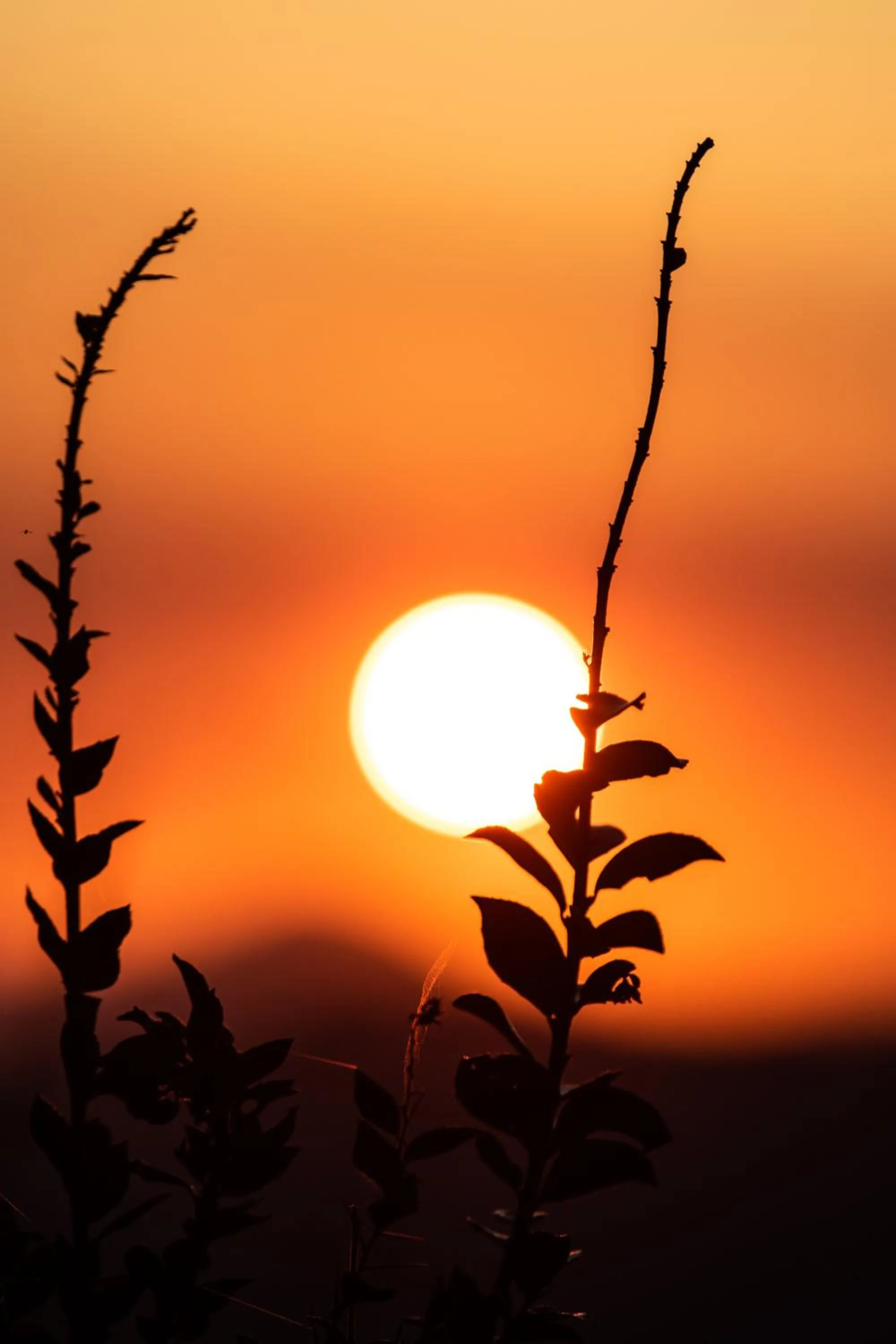 Sunset in Pousada UpSerra