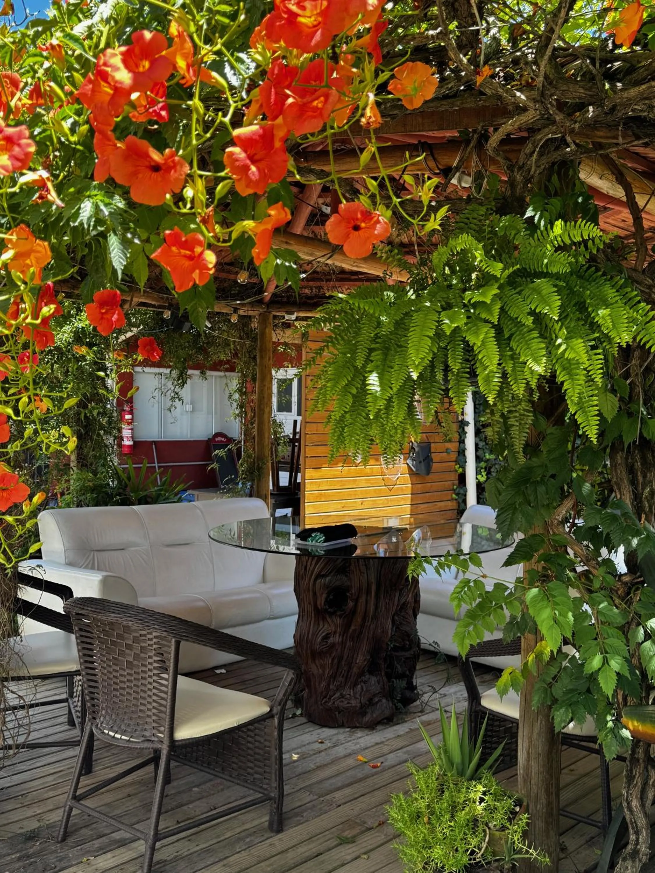 Patio in Pousada UpSerra