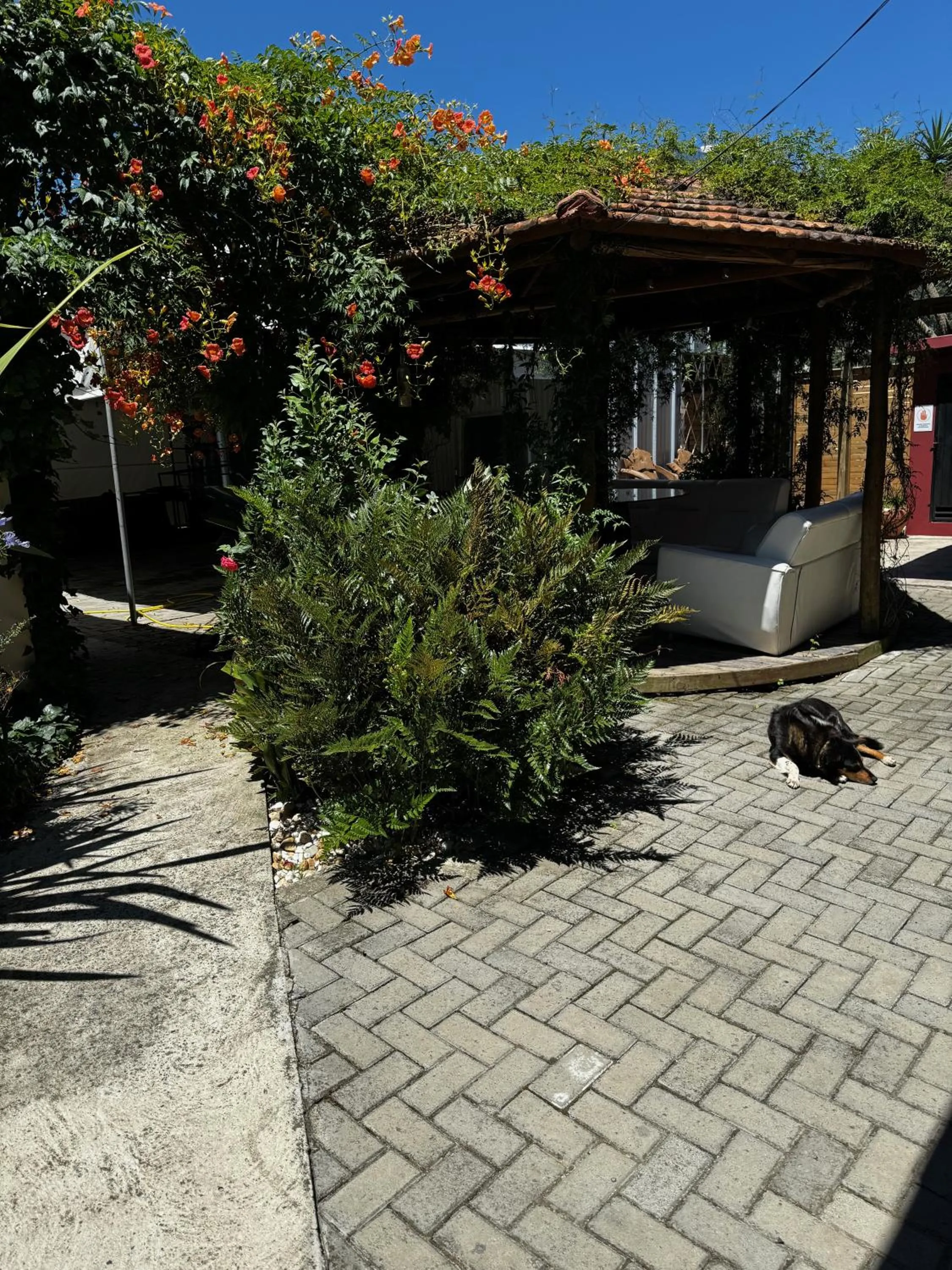 Animals in Pousada UpSerra
